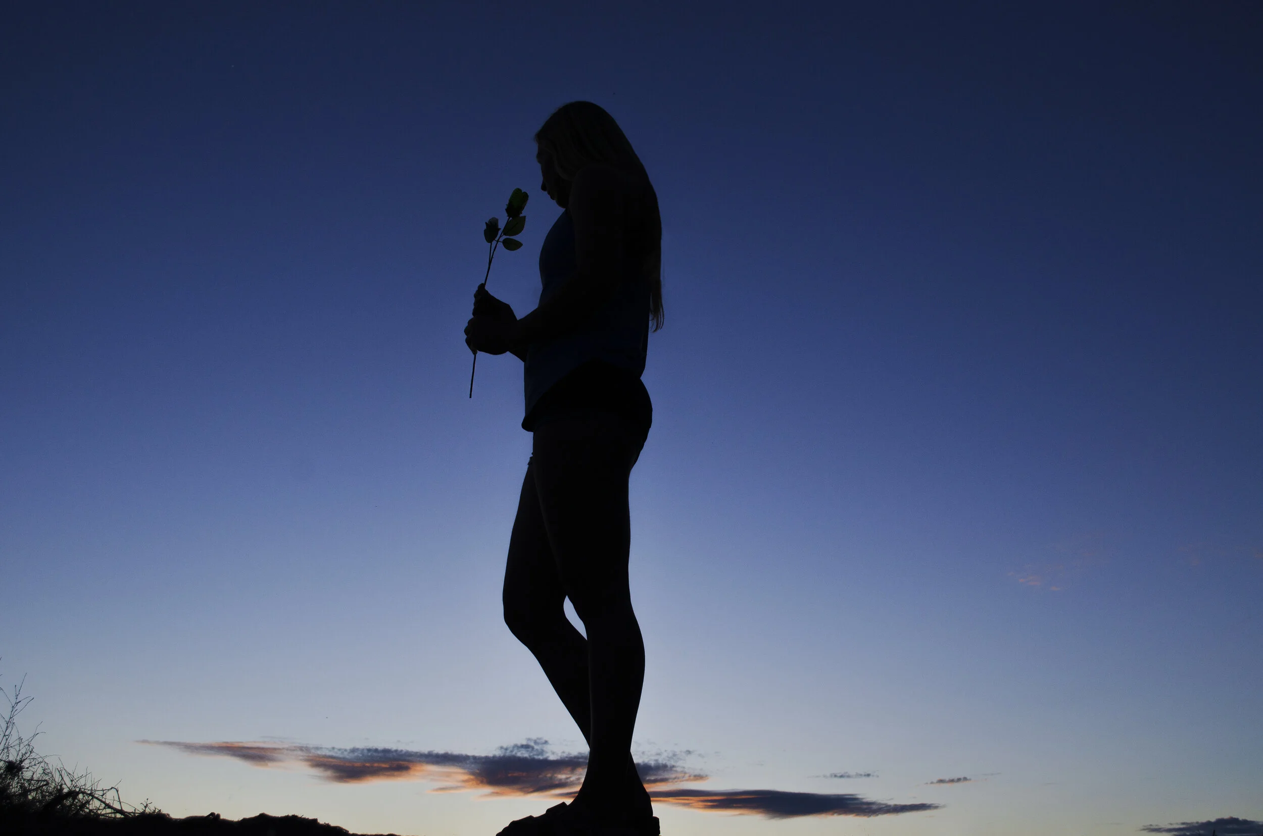 silhouette5.jpg