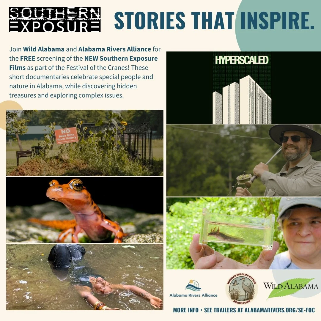 Southern Exposure Films