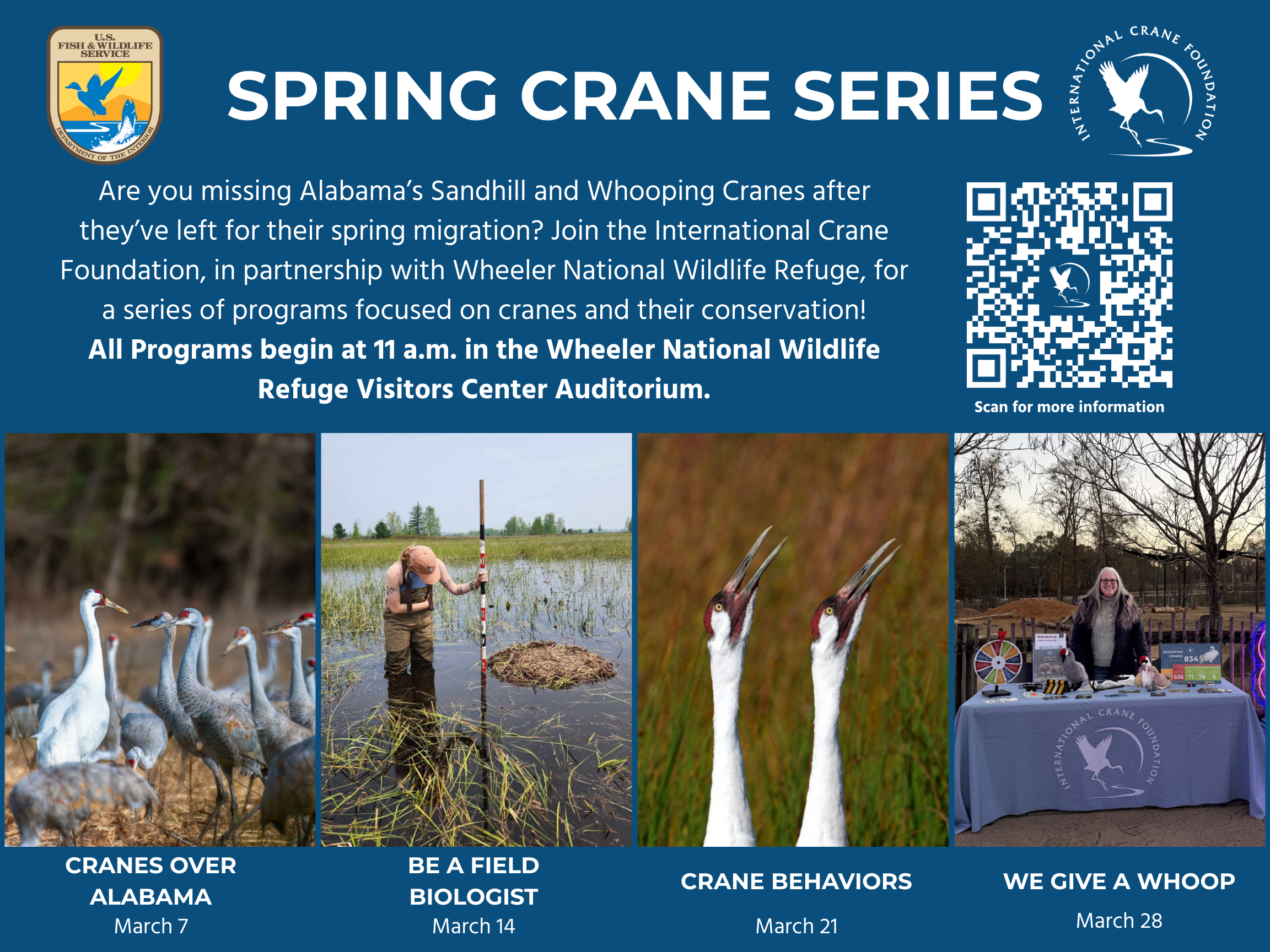 Spring Crane Series: Crane Behaviors — Wheeler Wildlife Refuge Association
