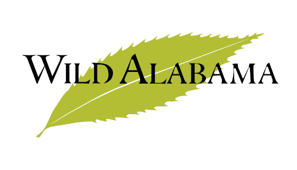 Wild Alabama Logo2_PMS393.png