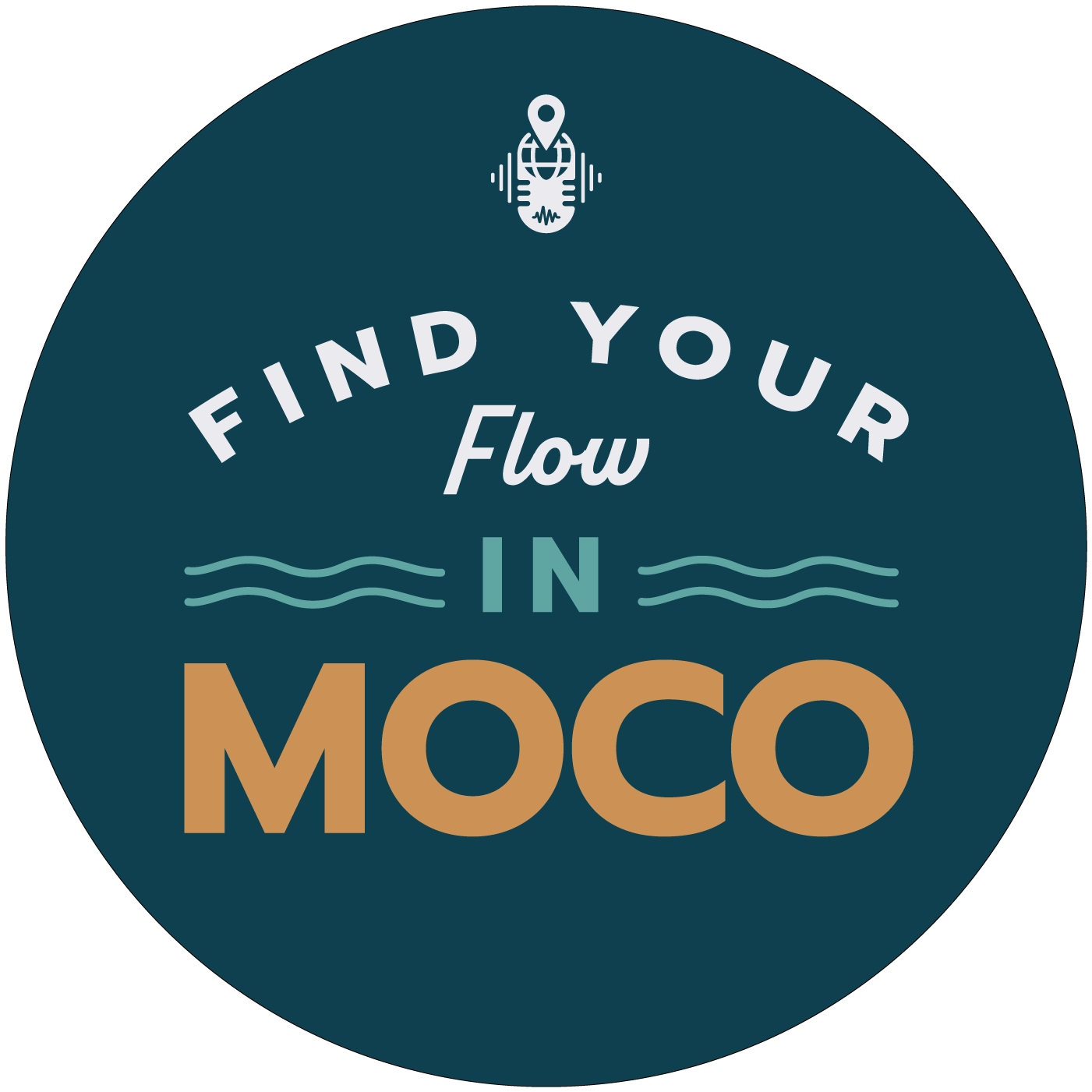 Find your Flow moco.png