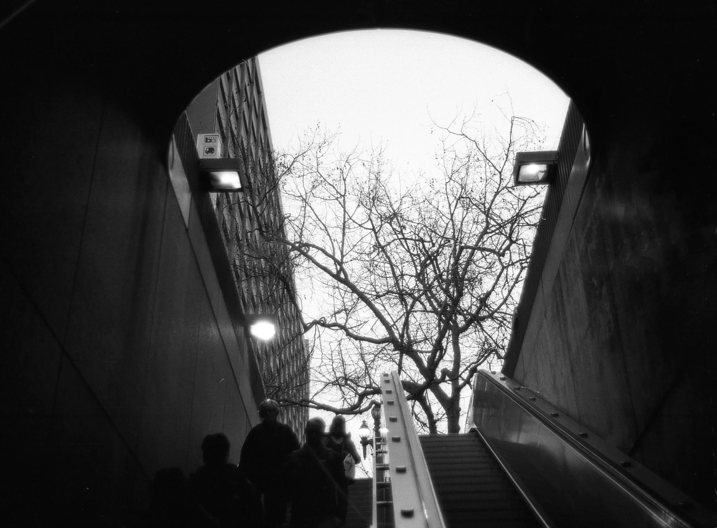 img064-2.jpg