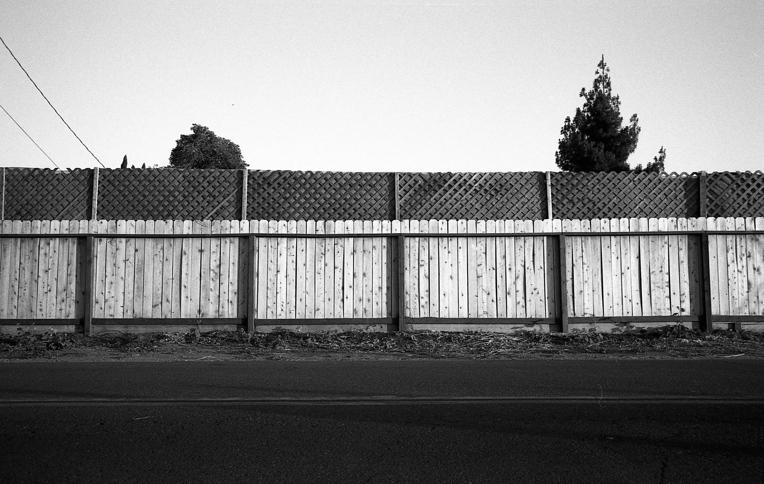 img756.jpg