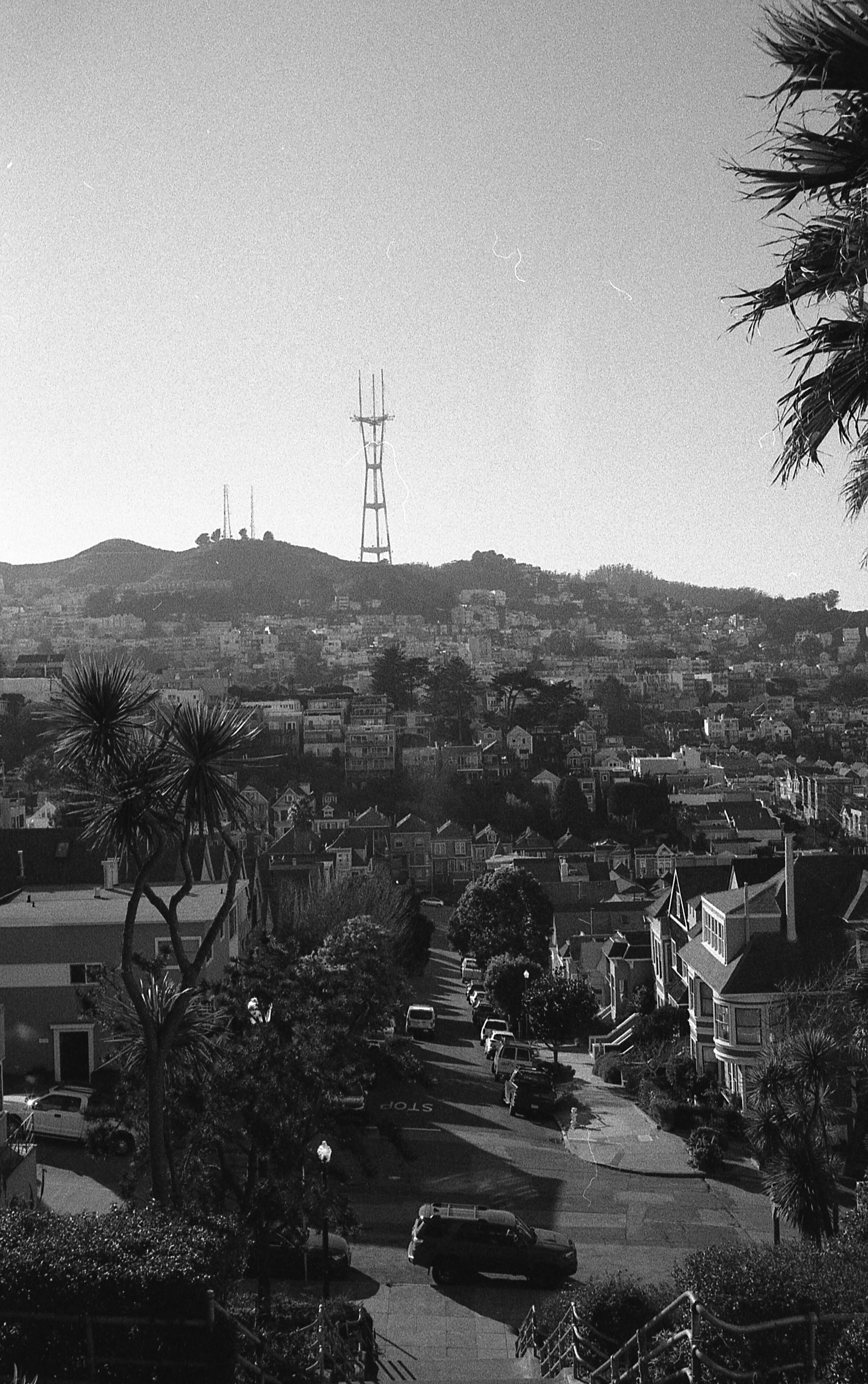 img410.jpg