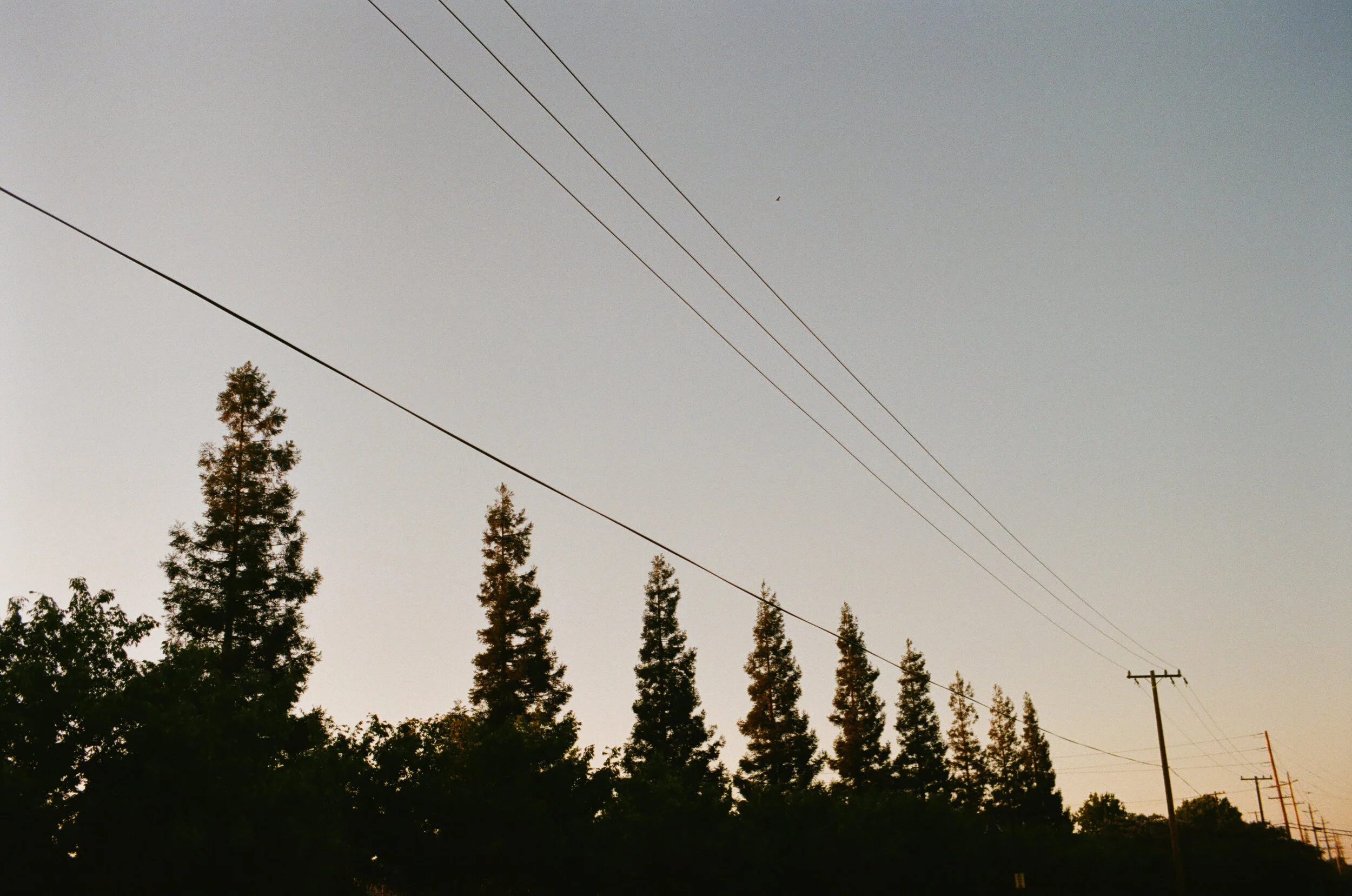 000067430012.jpg
