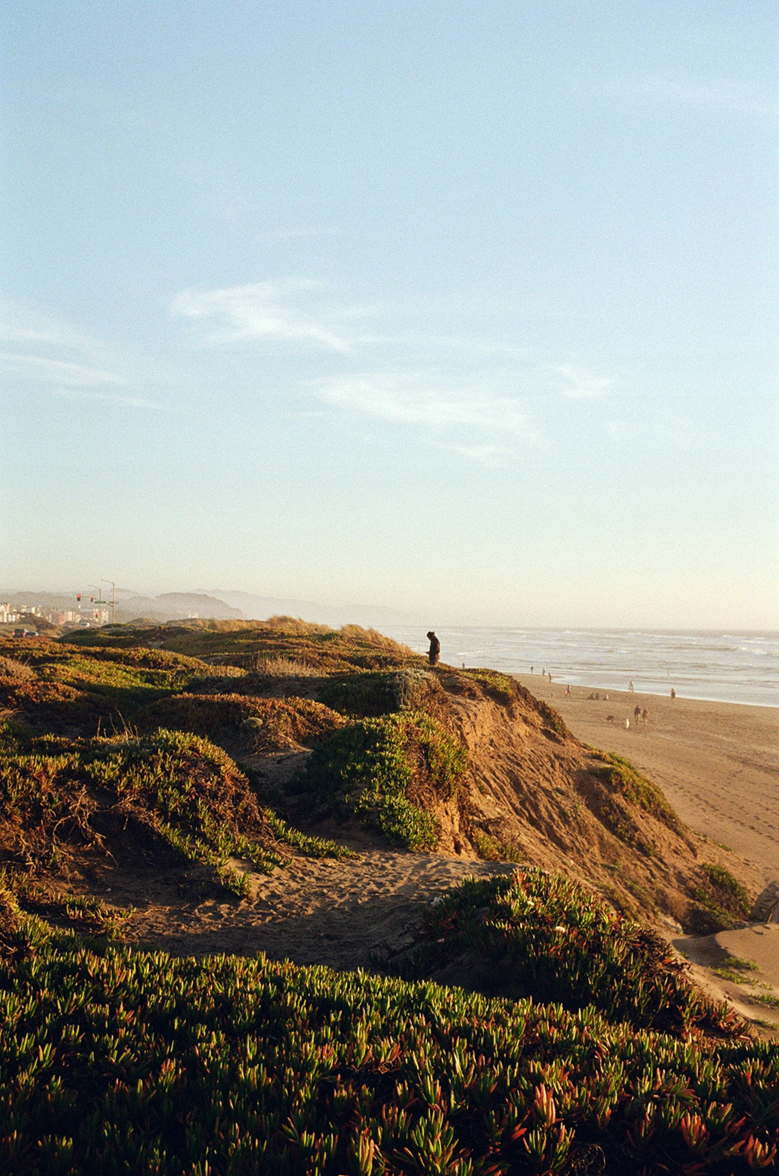 000042010031.jpg