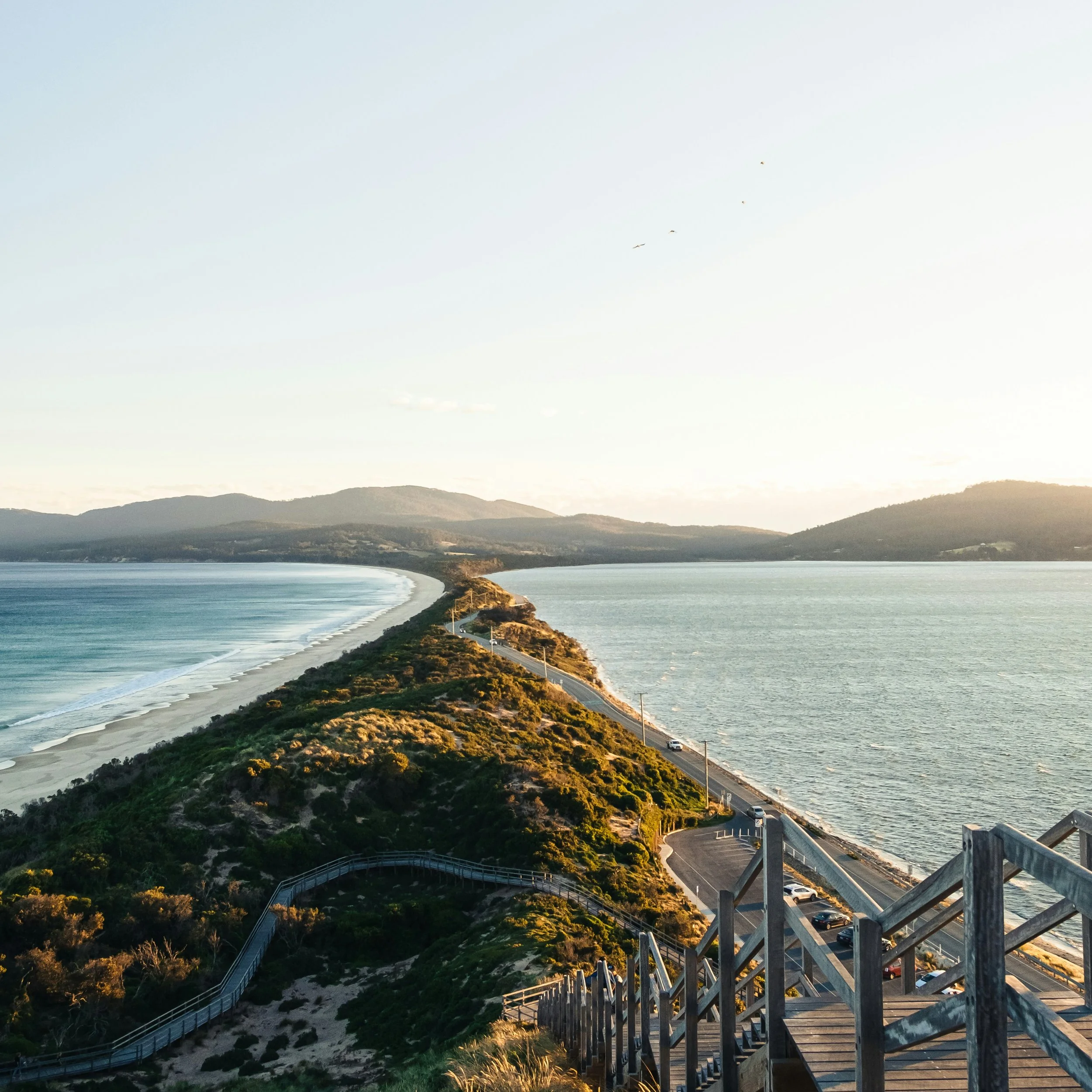 Will the Federal Election result affect the State Election (and vice versa)?