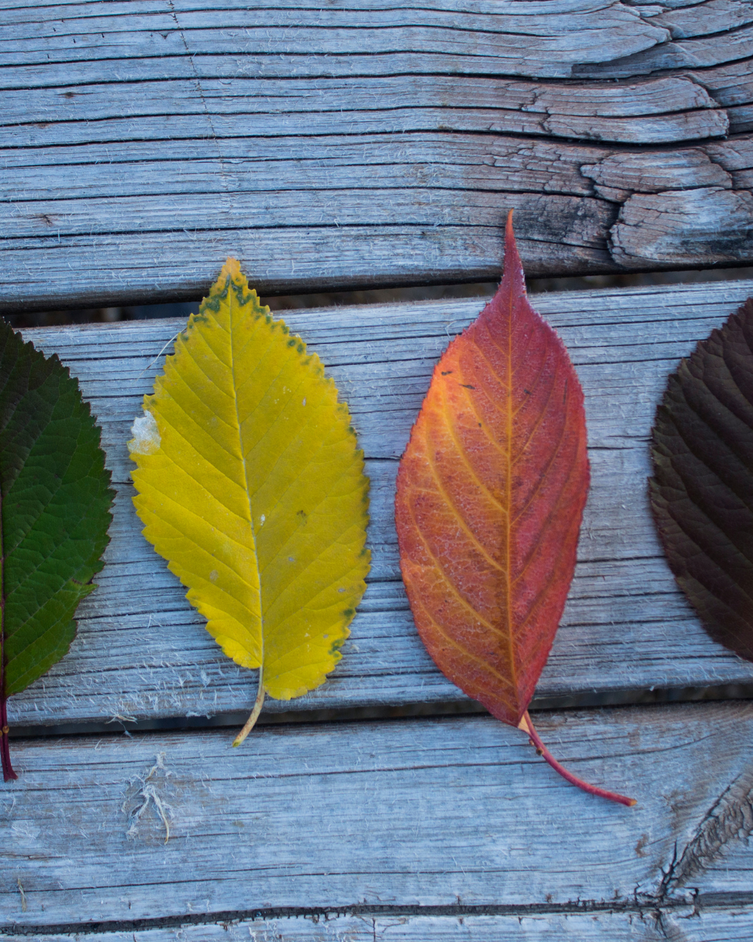 Tanck’s Theory of Change: Three disciplines to ensure your organisation is heard and taken seriously&nbsp;&nbsp;