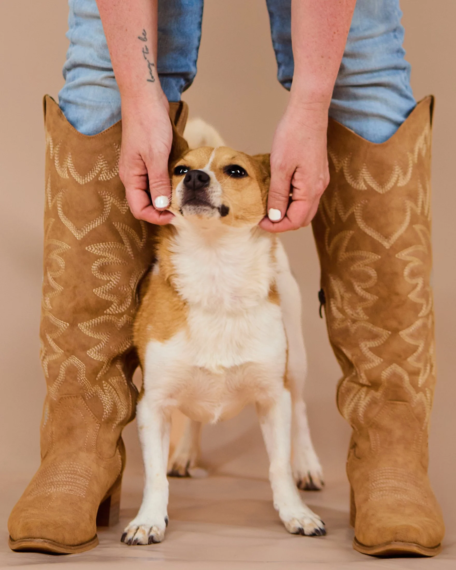 dogs - and - their - people - studio - portrait