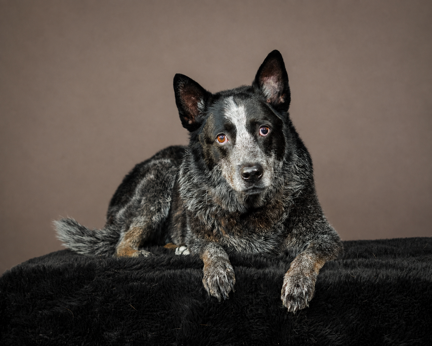 Eatonton-Photographer-Alisa-HamPhotography.jpg.png
