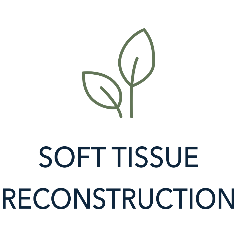 Illustration of a plant with two leaves above the text 'Soft Tissue Reconstruction'