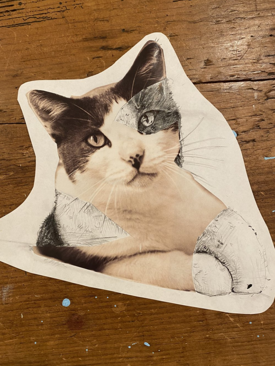 Screenshot 2024-07-29 at 2.31.30 PM.png