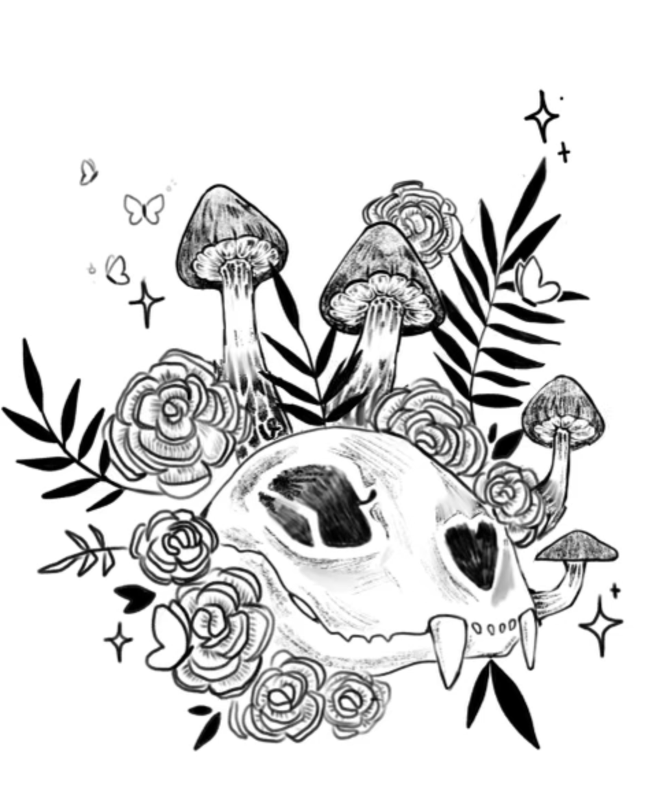 Screenshot 2024-07-25 at 6.11.21 PM.png