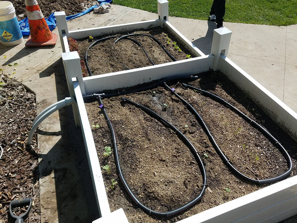 Sheathed dripline works with raised beds.