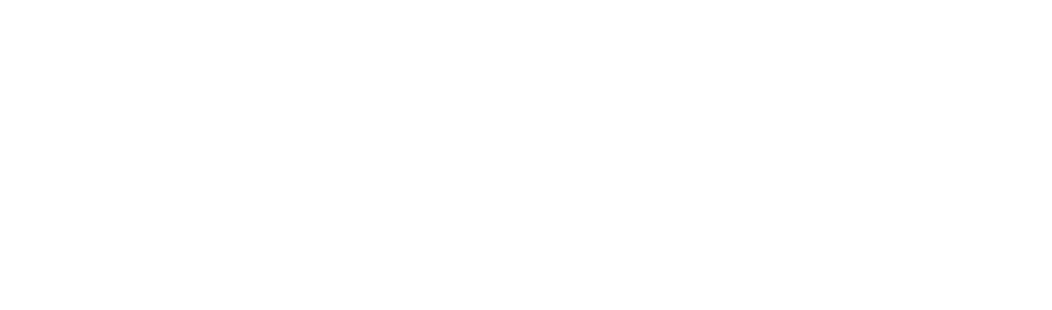 Seamless Health Indemnity Plan