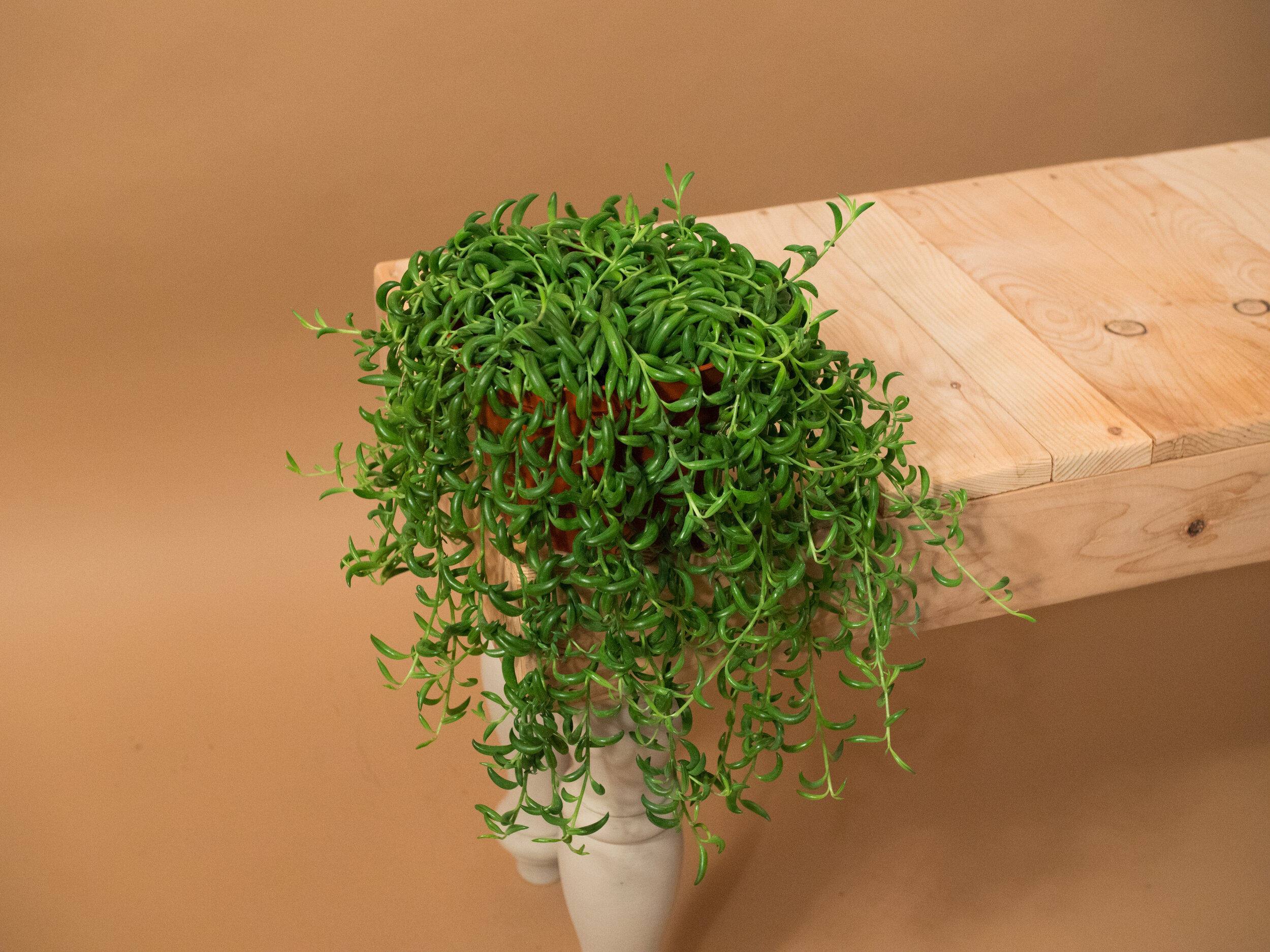 string of bananas