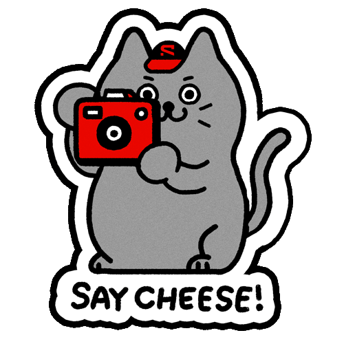 PhotoCat_R1_20251031.gif