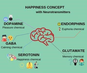 What Is Serotonin?
