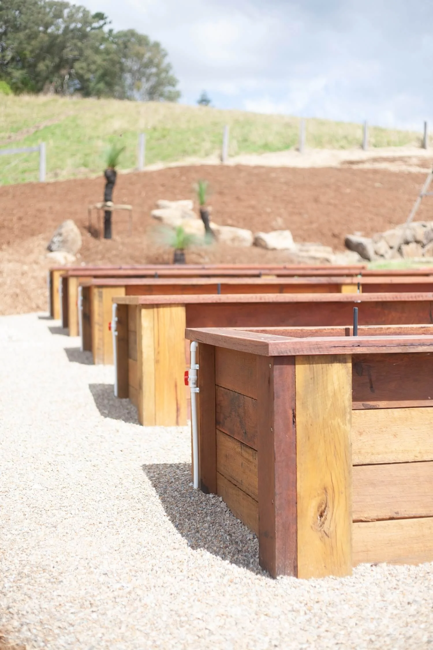 Raised Garden Beds