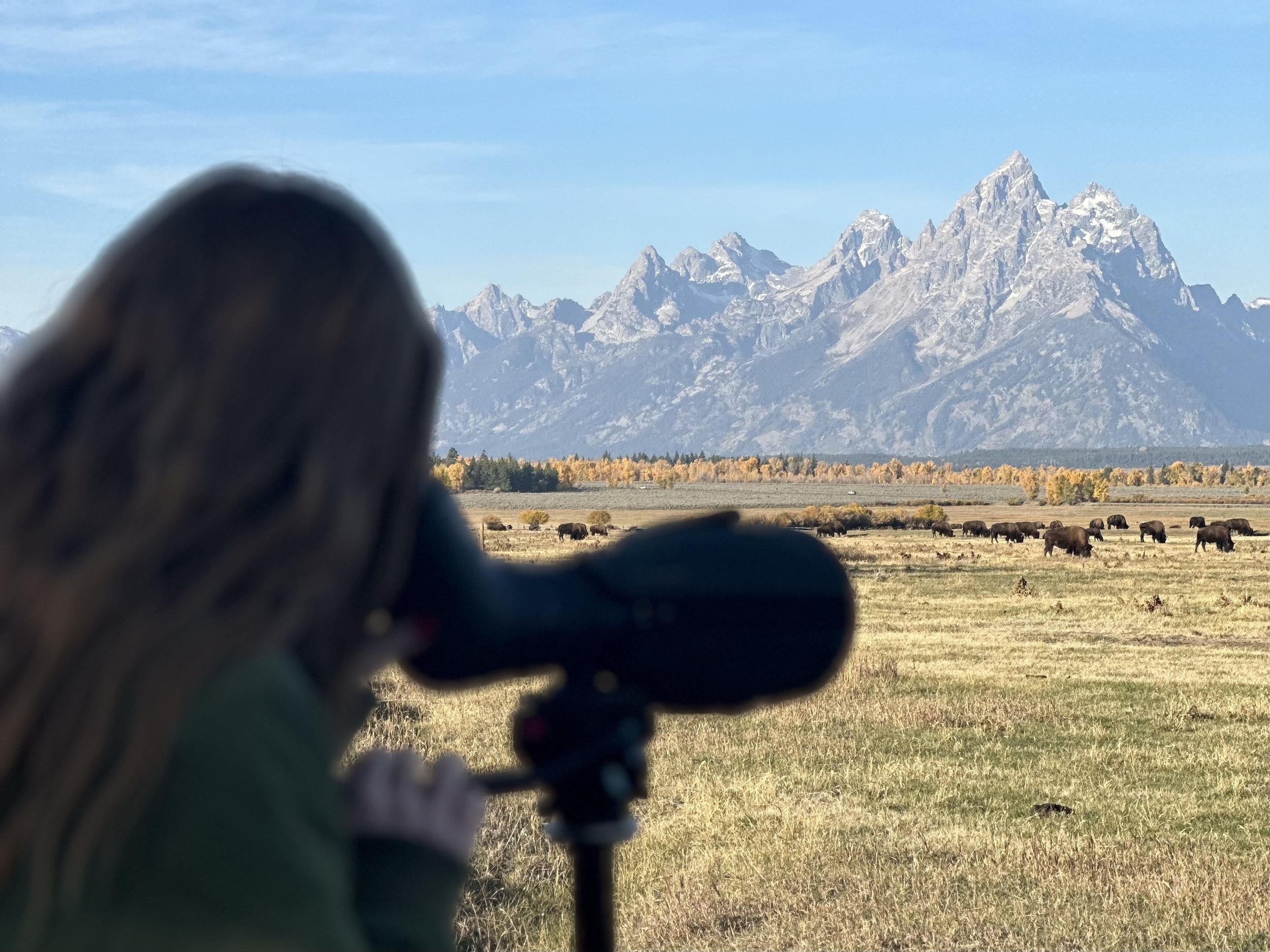 When to Visit Jackson Hole: a Month-by-Month Guide