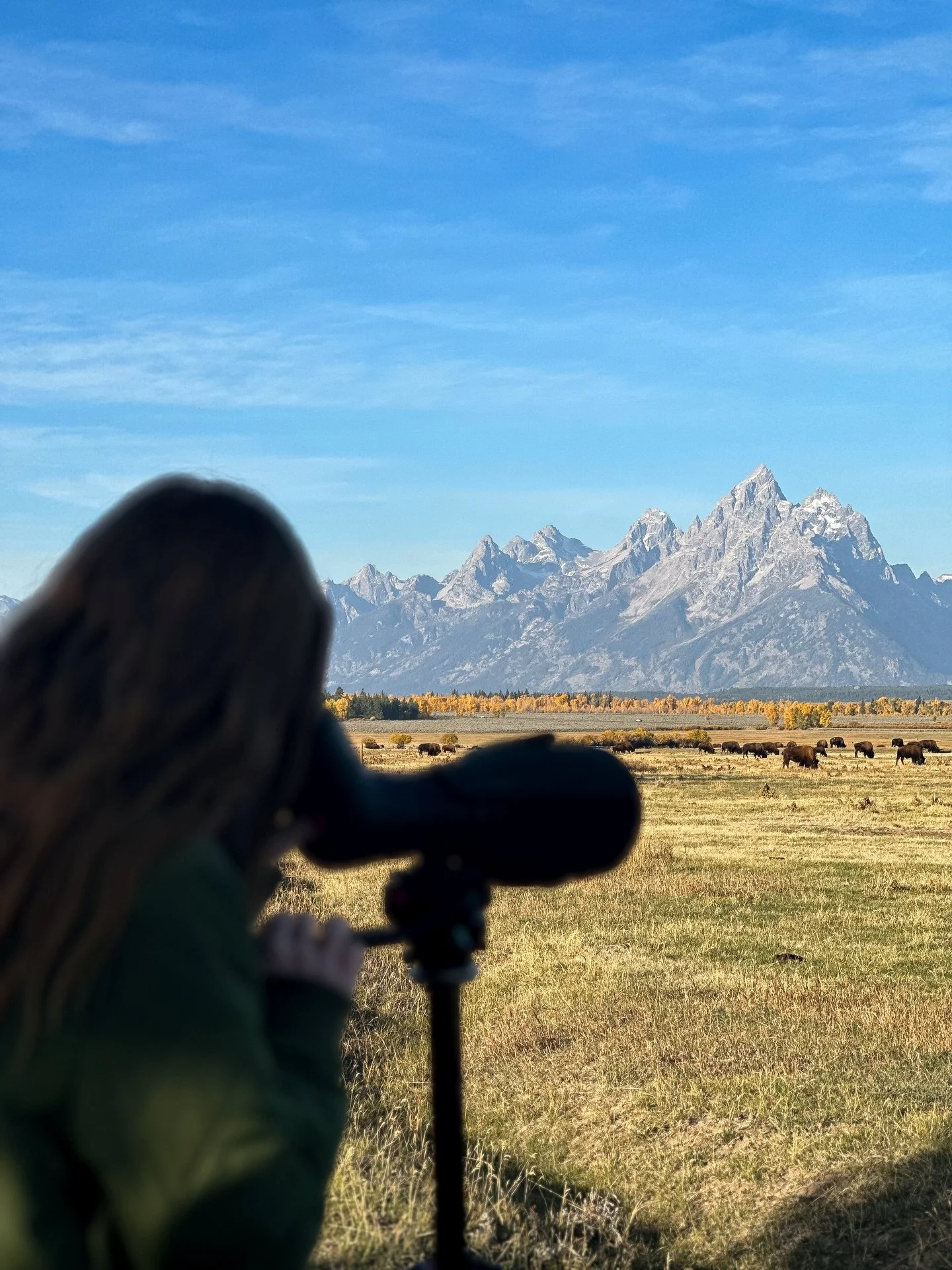 When to Visit Jackson Hole: a Month-by-Month Guide is out now!! 

If you&rsquo;ve been thinking about visiting Jackson Hole, this is a must read. You will find a detailed breakdown of when you should and should avoid visiting my favorite mountain tow