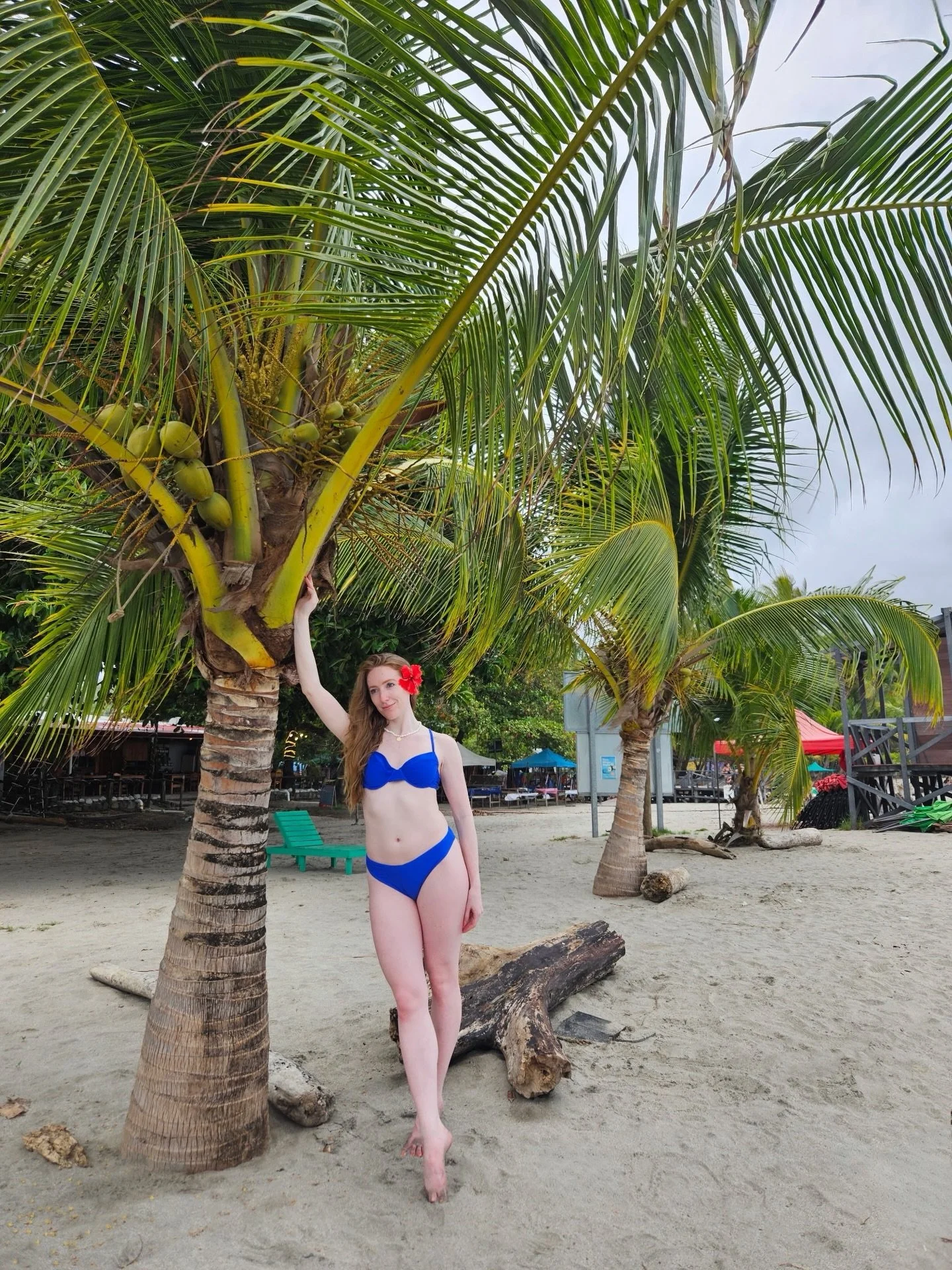 Happy Earth Day 🌎 🌴🌺 

#costaricatravel #samaracostarica #centralamericatravel #palmtrees🌴 #earthday2026