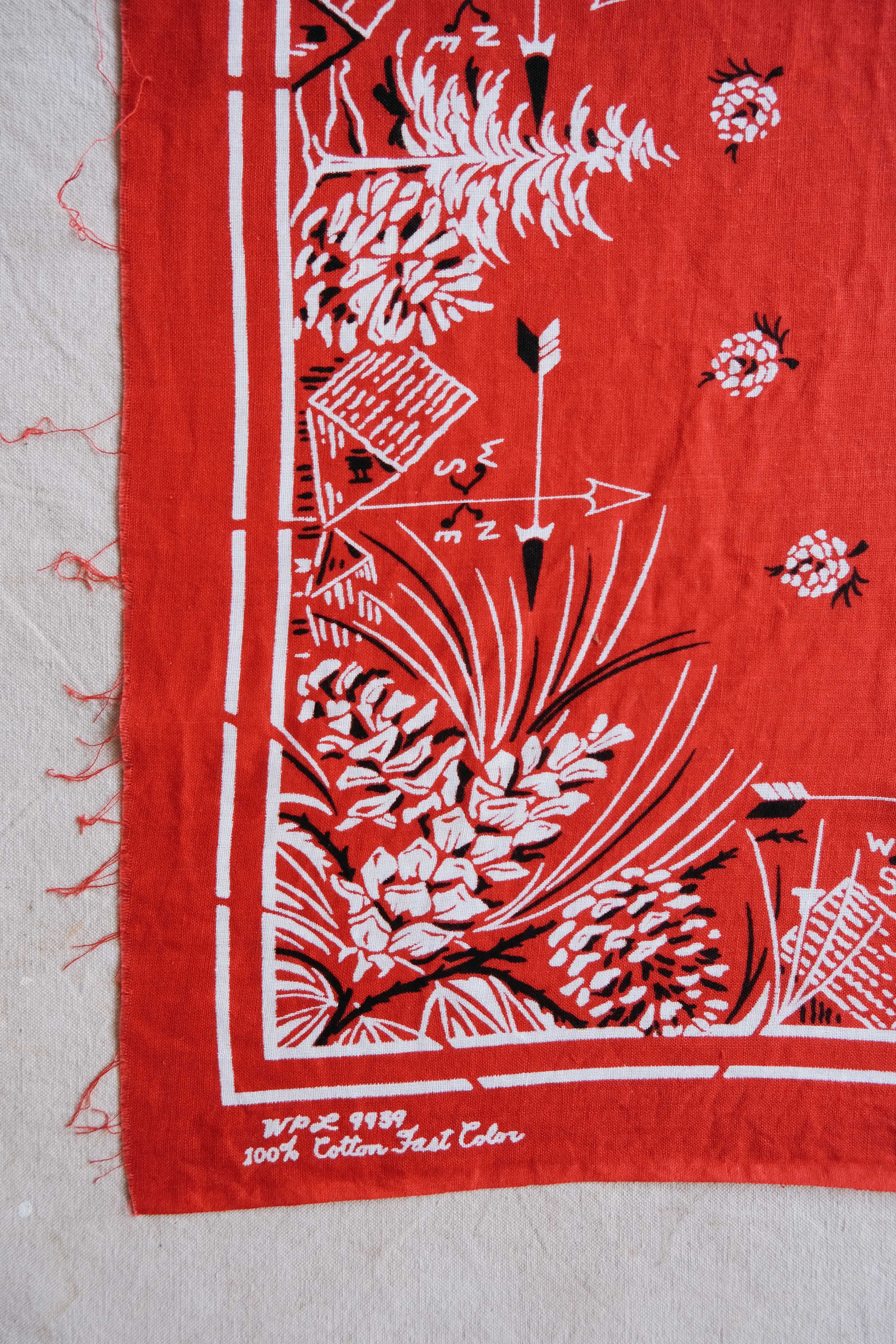 folkling-bandanas-42.jpg