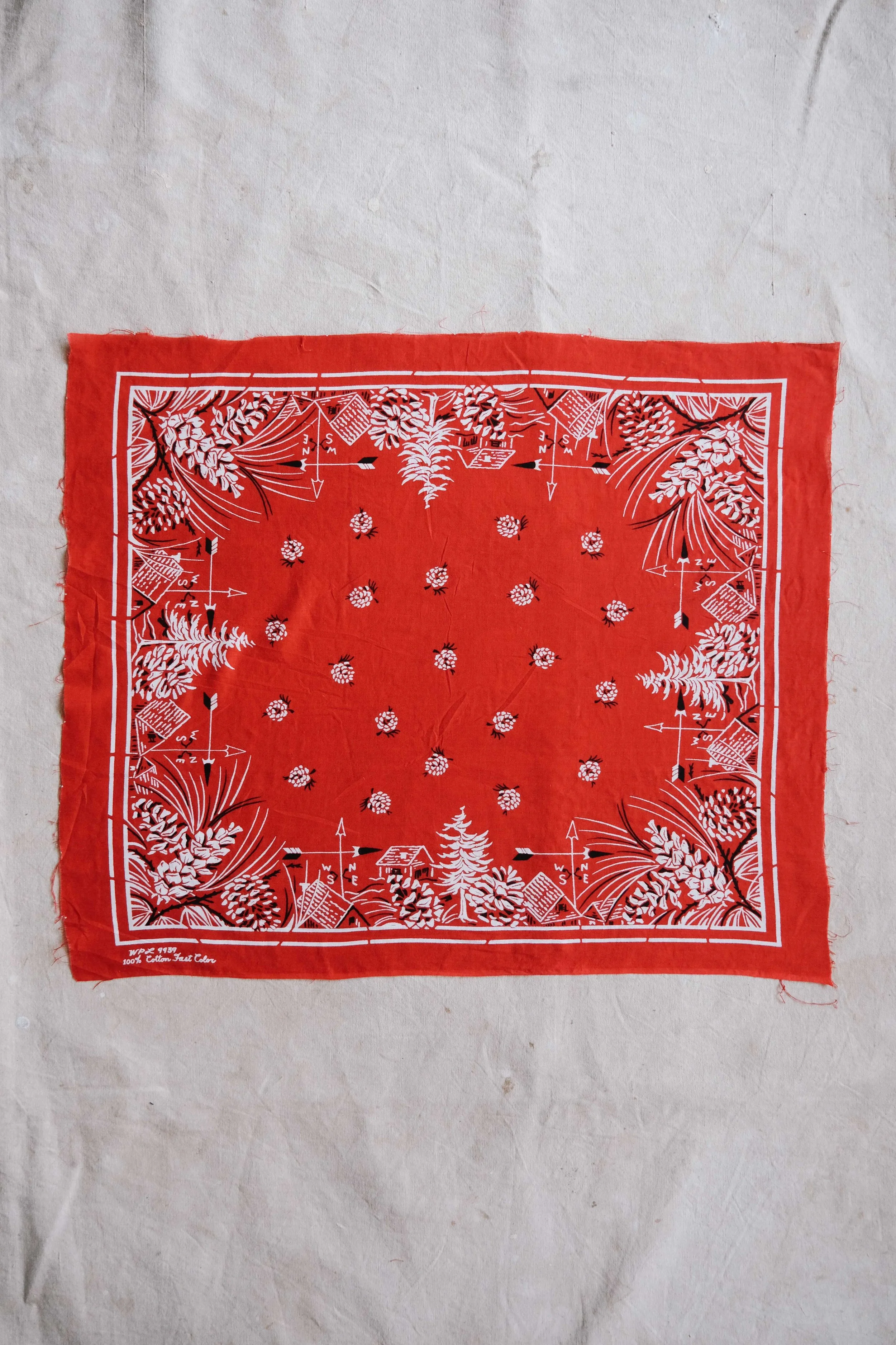 folkling-bandanas-43.jpg