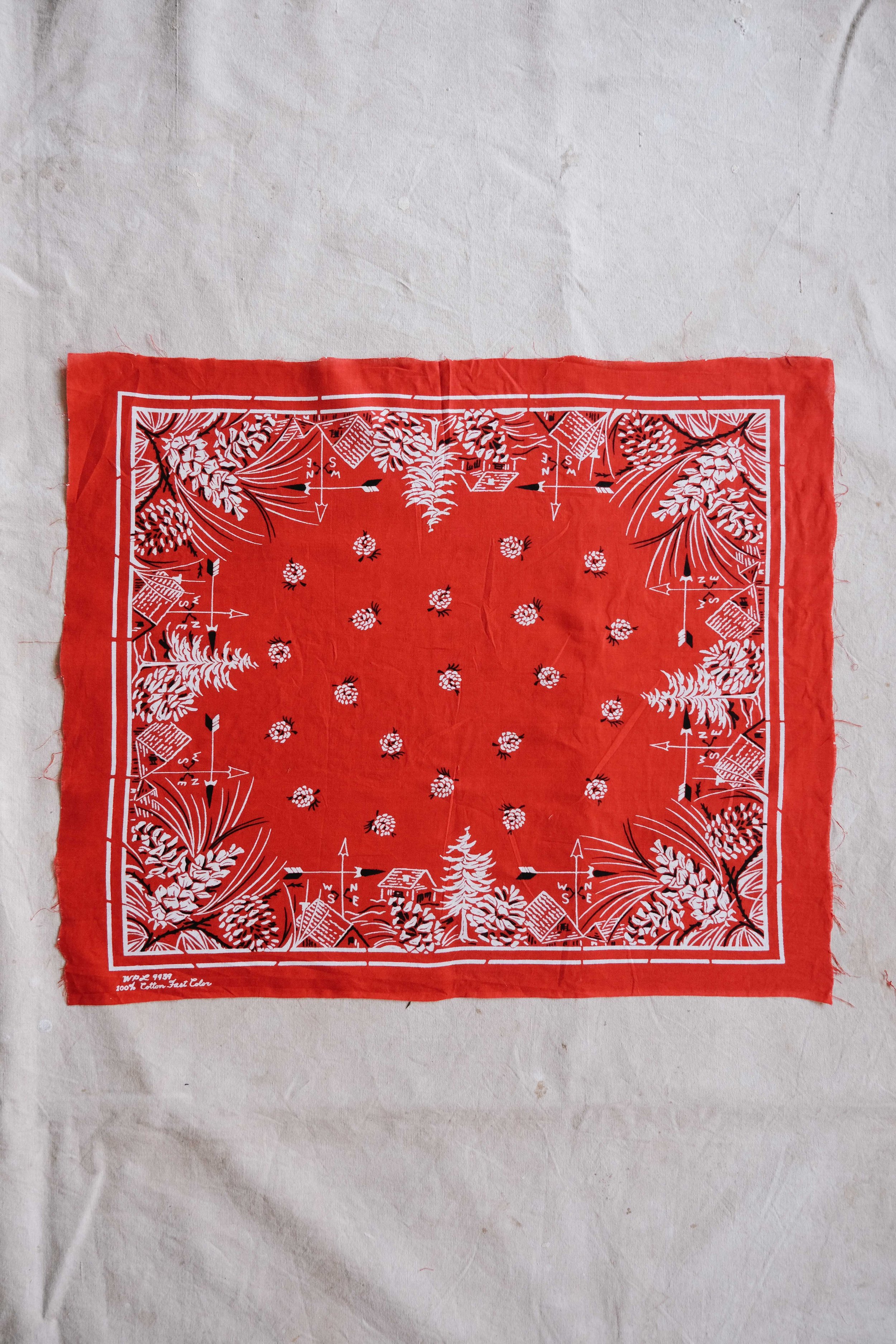 folkling-bandanas-39.jpg