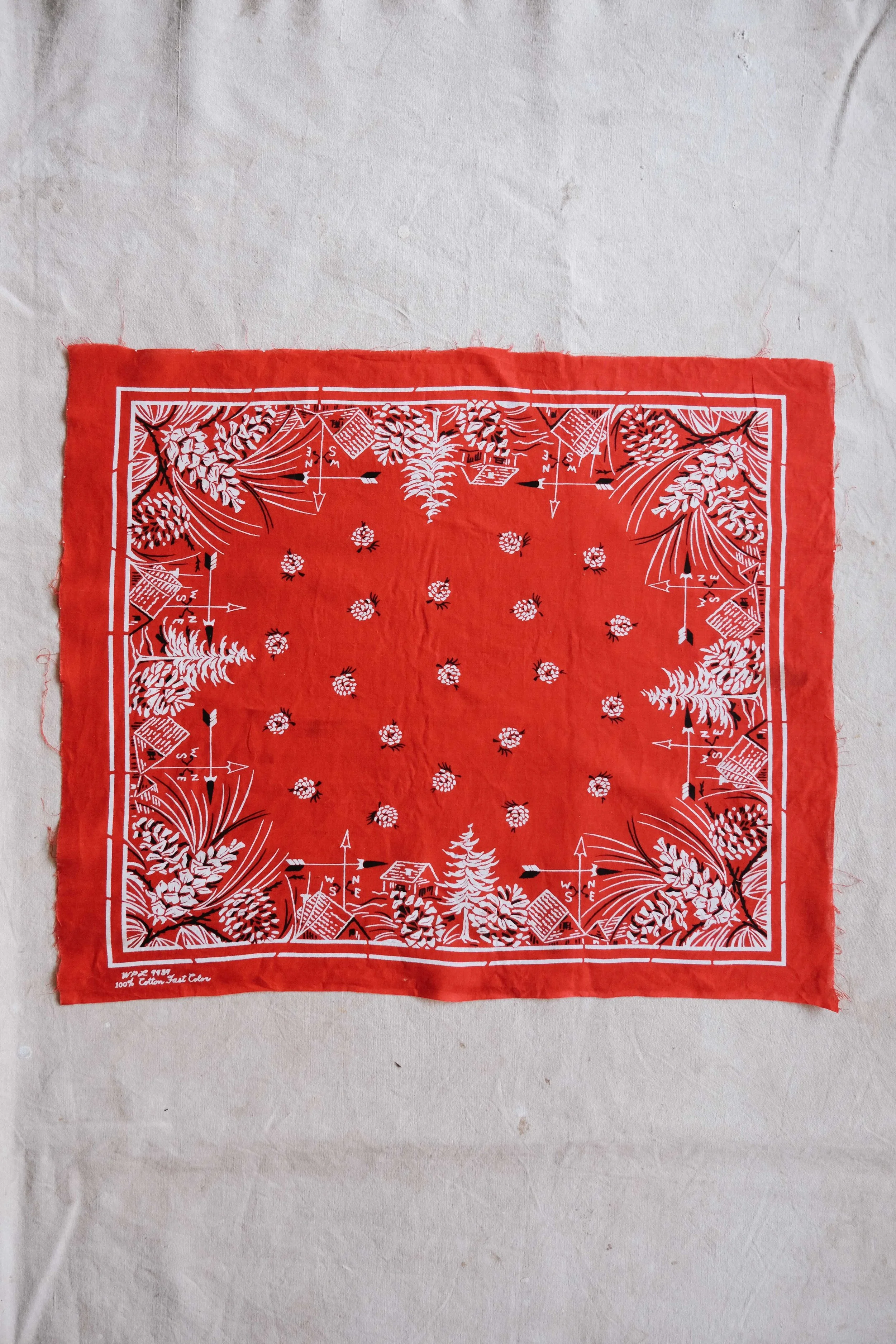 folkling-bandanas-37.jpg