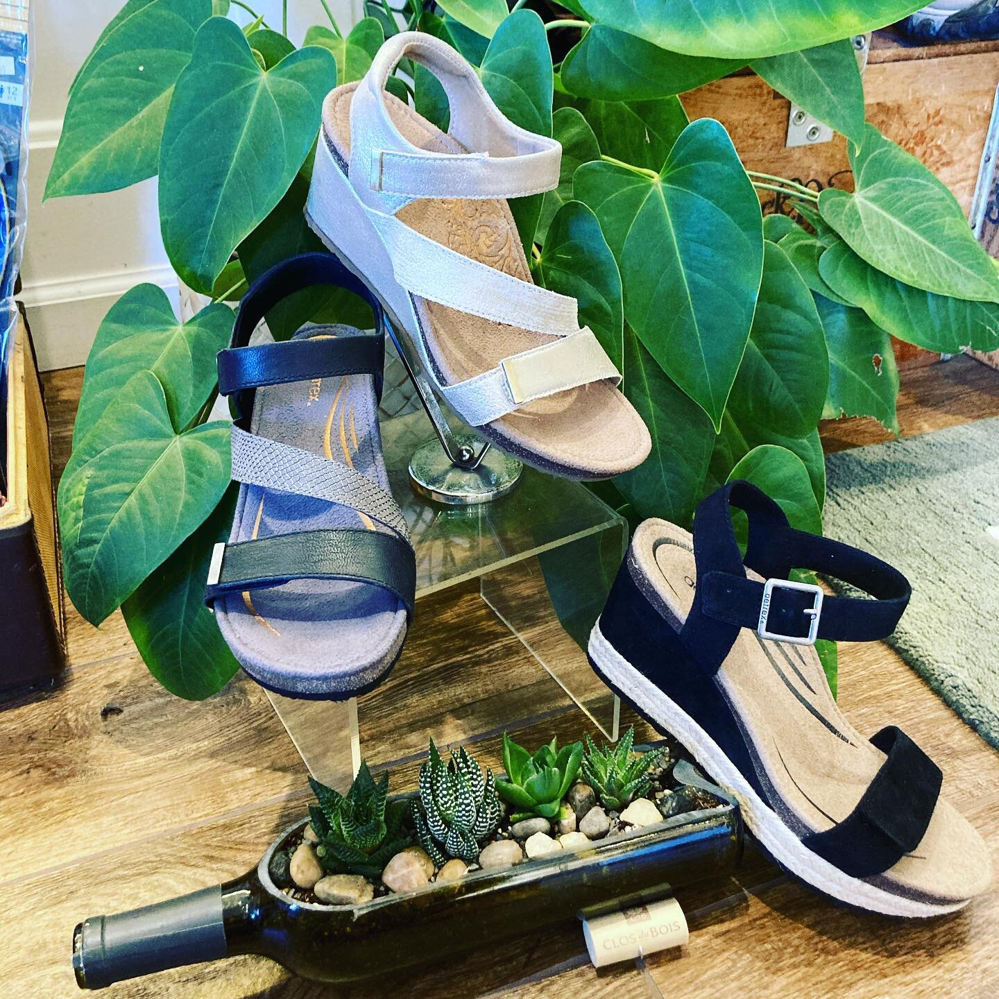 Wine, shoes and plants.  My favorite things! ❤️