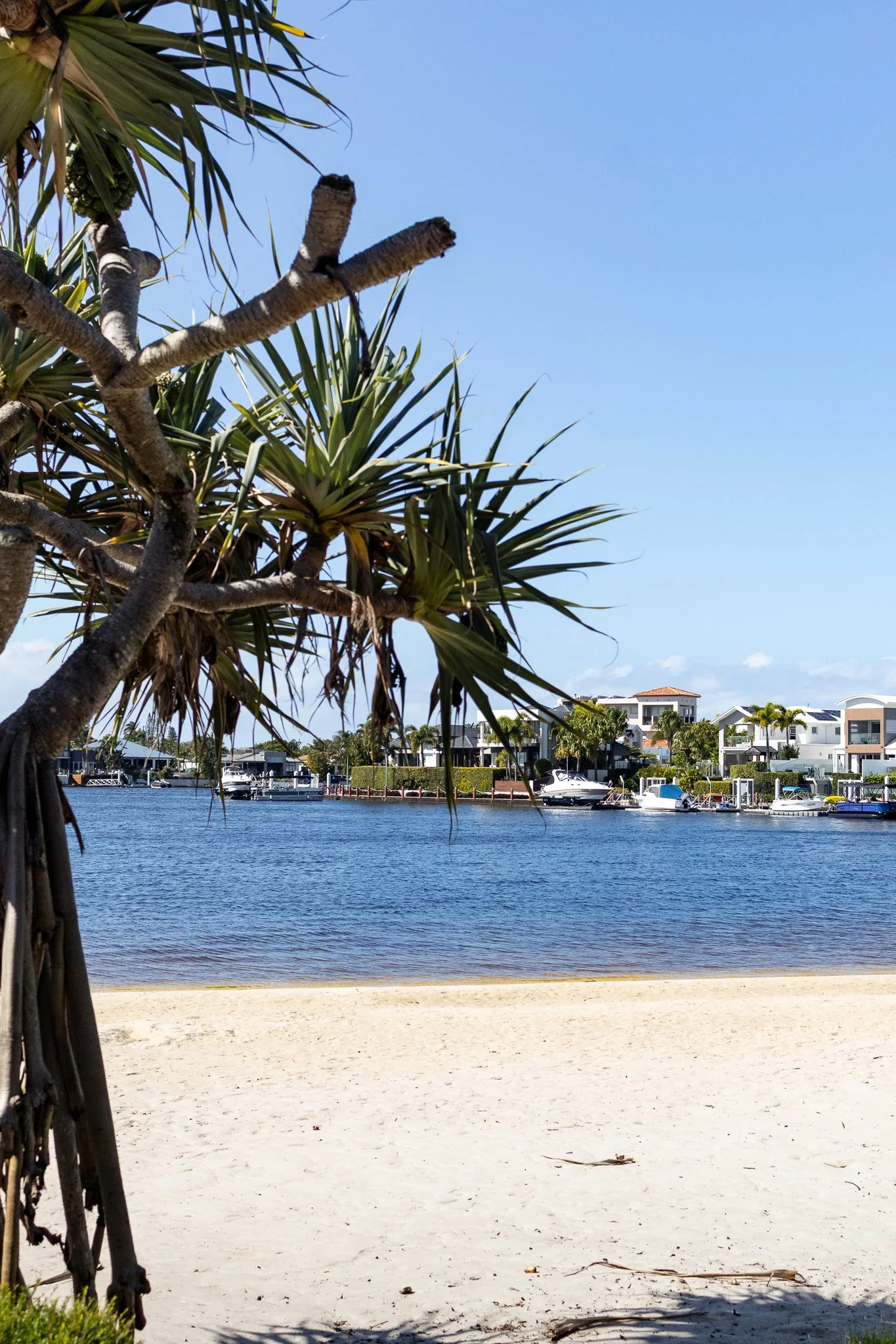Hosting a Beach Wedding in Brisbane Without the Stress