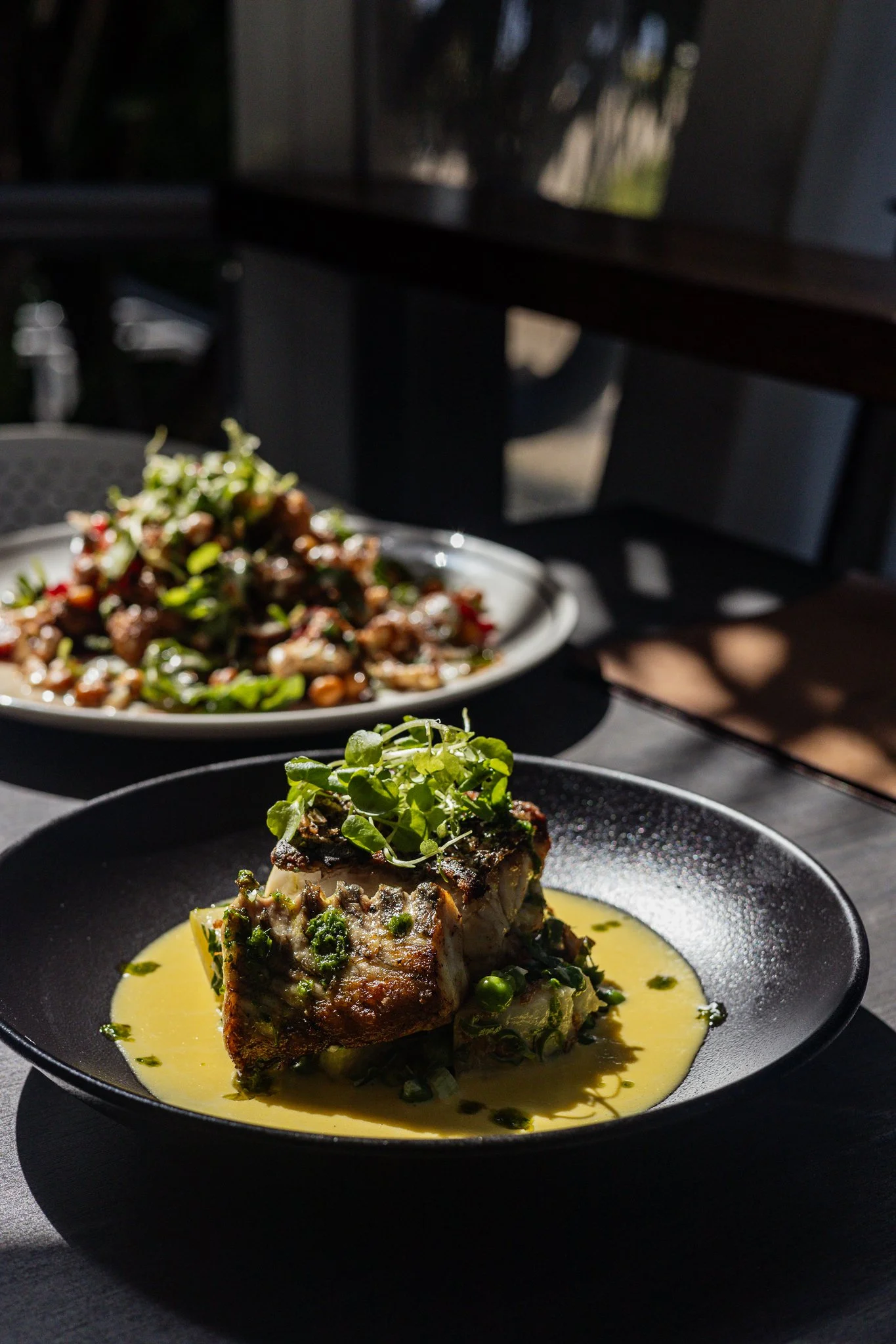 Date Night Dining on the Sunshine Coast at Green Zebra