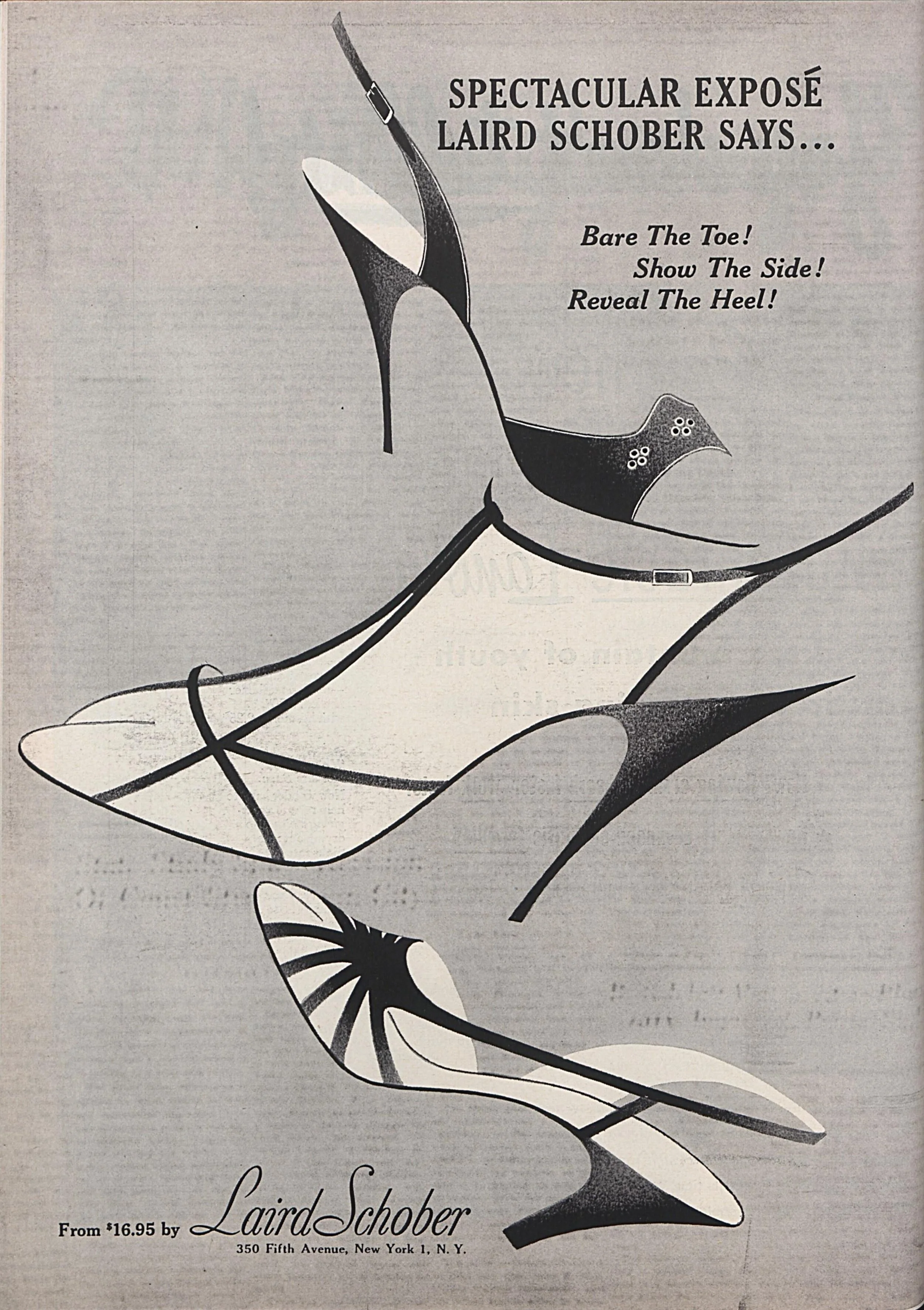 03.01.1954.jpg