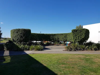 20190418_123210.jpg