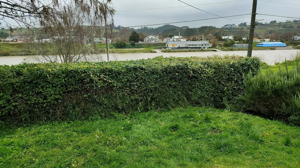 IMG20220808095518.jpg