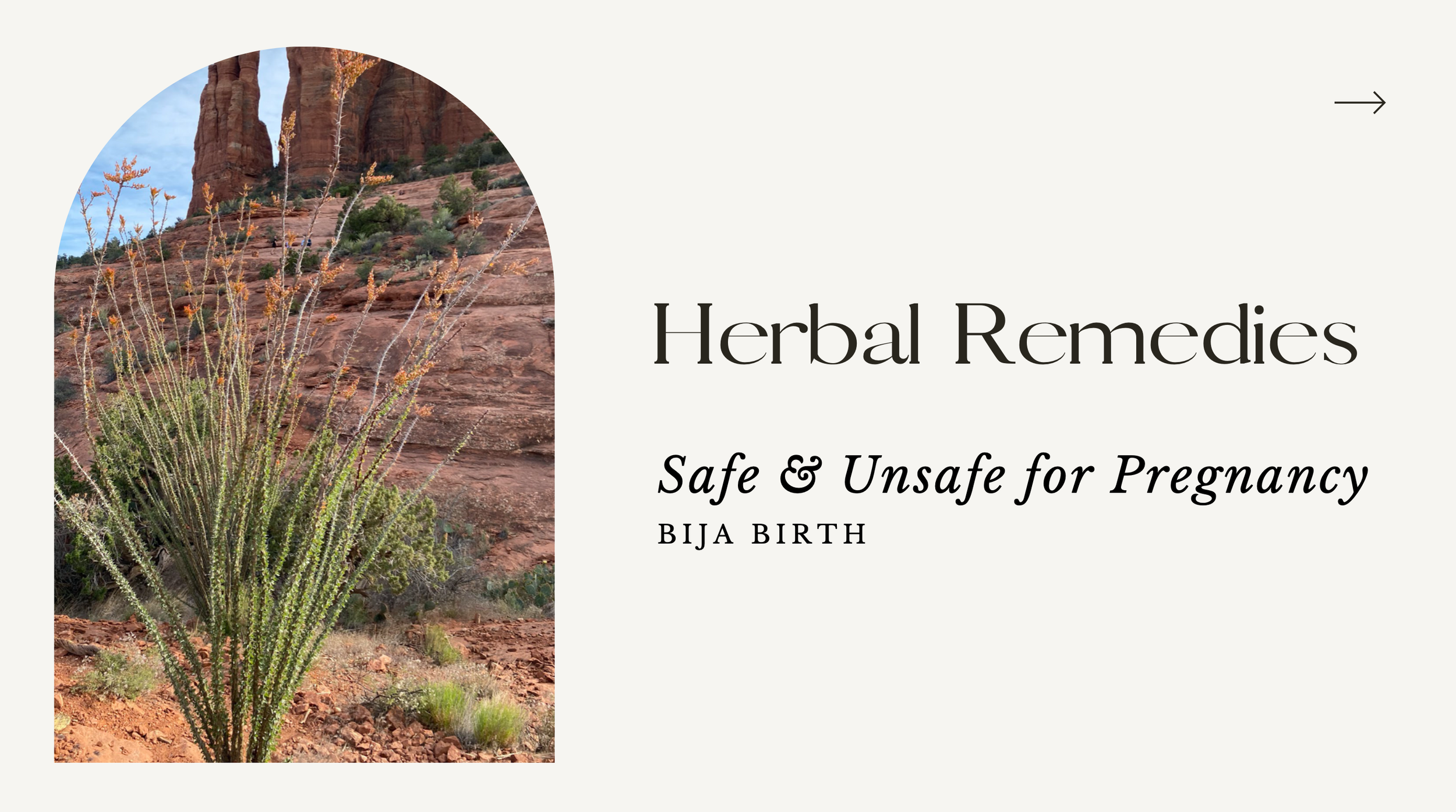 Screen Shot 2022-11-27 at 8.04.28 PM.png