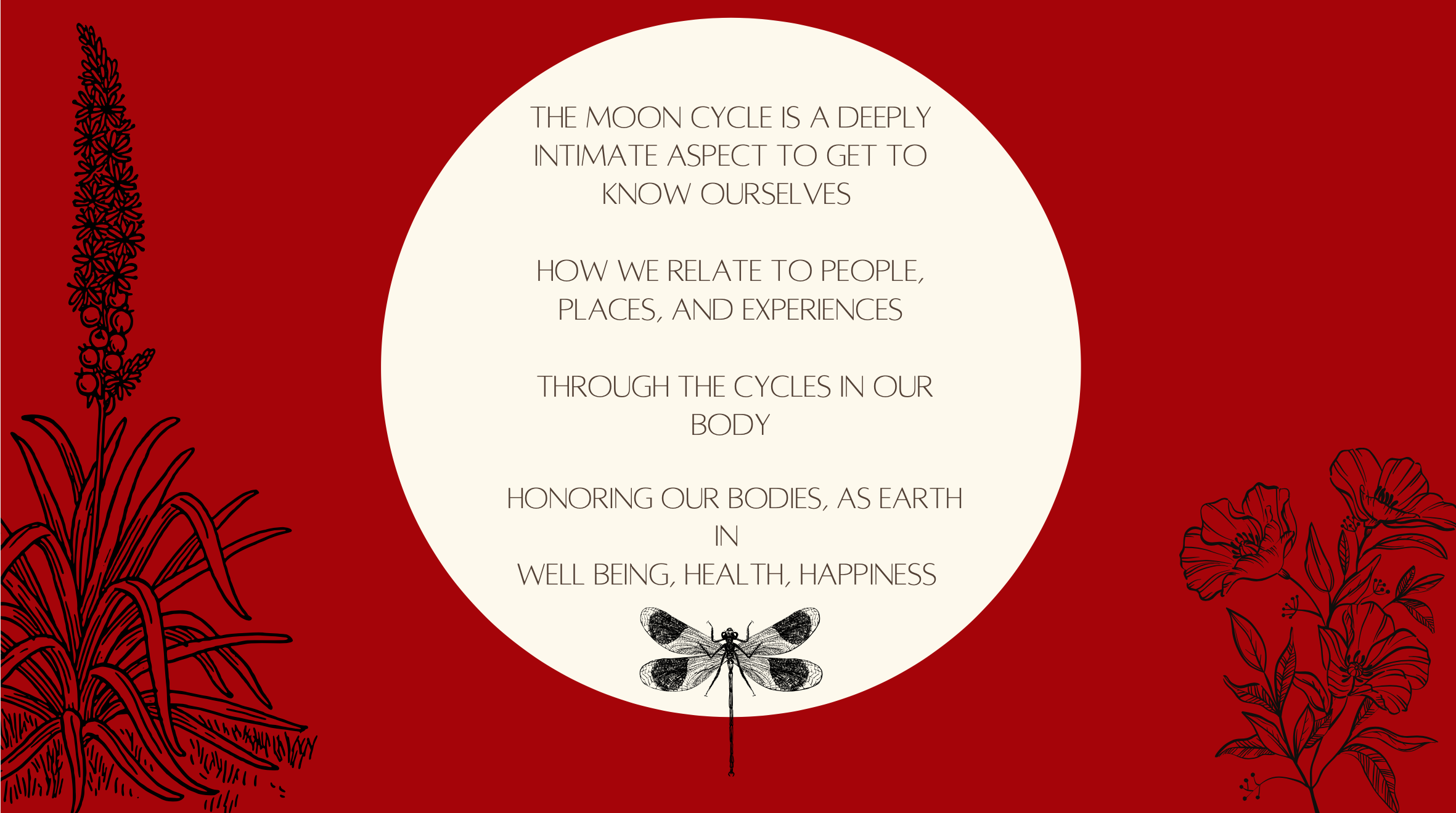 Screen Shot 2022-03-15 at 8.53.15 PM.png