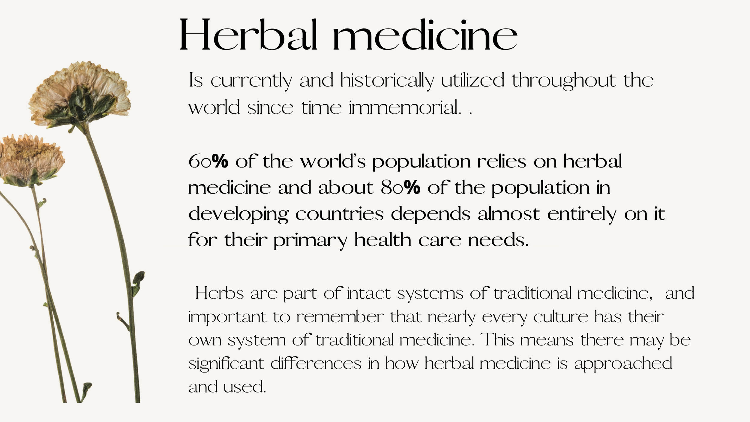 Screen Shot 2022-11-27 at 8.04.12 PM.png