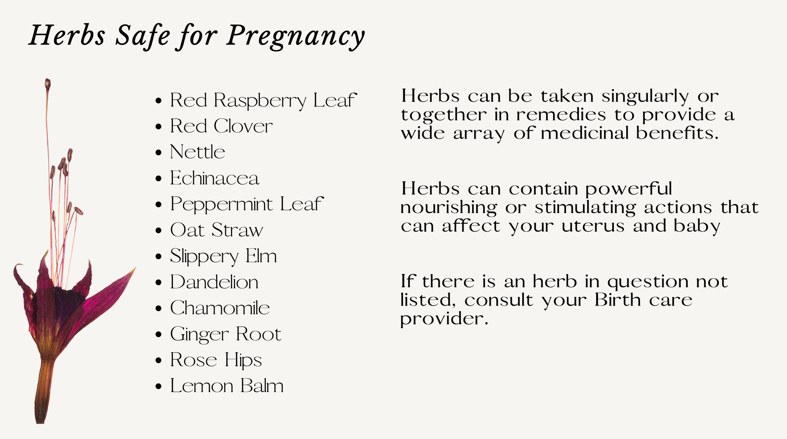 Screen Shot 2022-11-27 at 8.03.32 PM.png