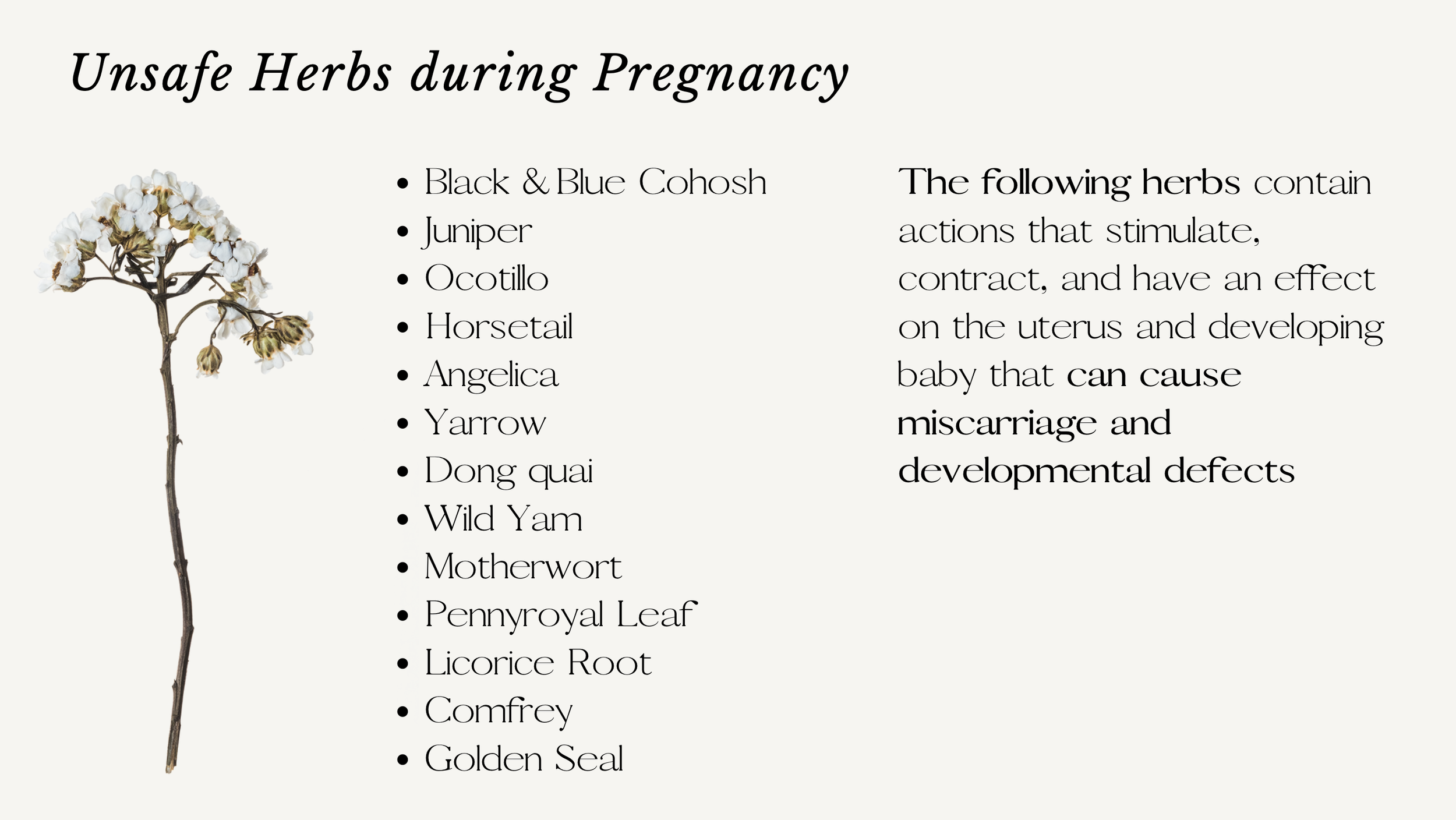 Screen Shot 2022-11-27 at 8.03.18 PM.png