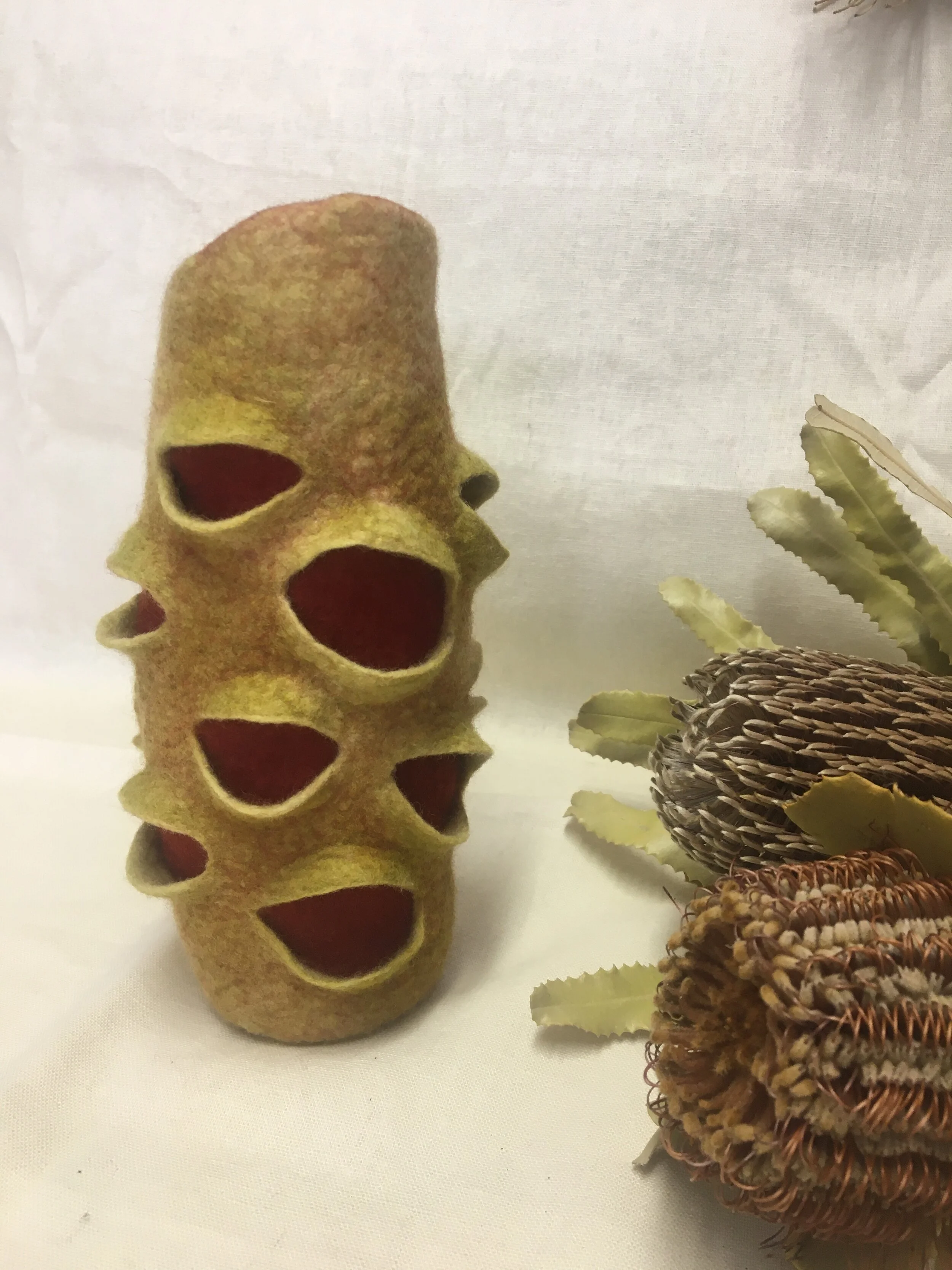 felt banksia pod