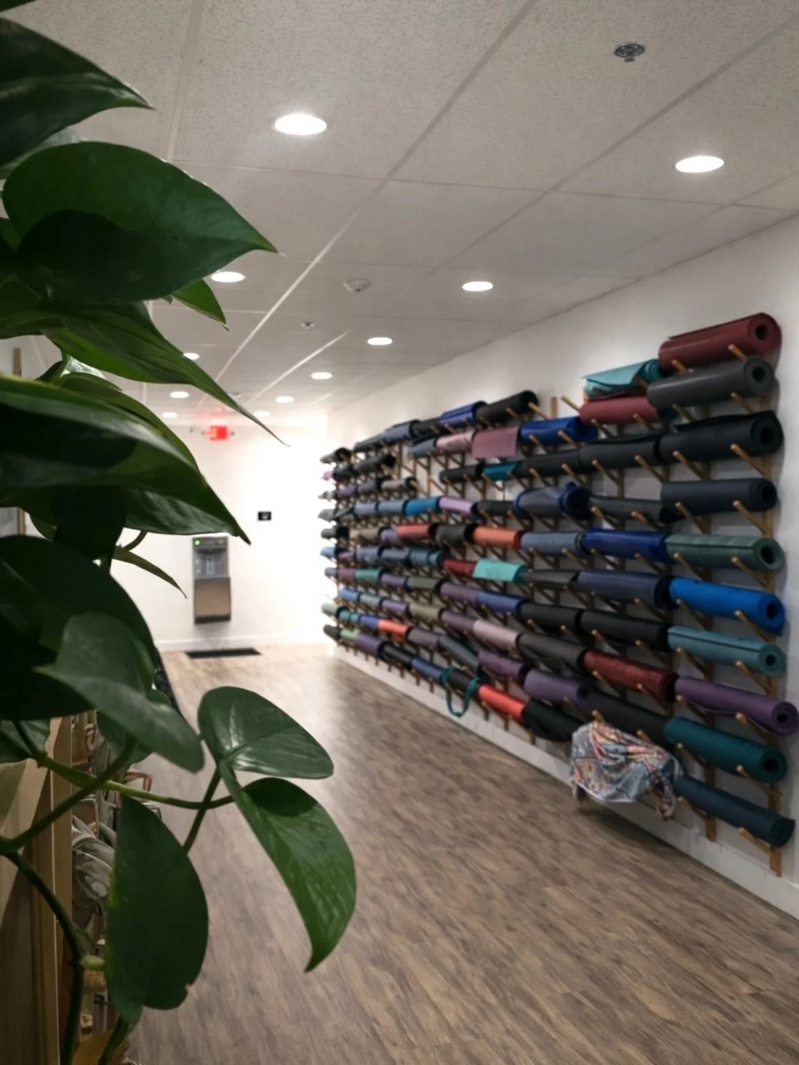 This is what it feels like to be here 💚

The quiet moments
The full rooms
The people who show up

Every mat
Every pair of shoes
Every familiar face

We&rsquo;re so glad you&rsquo;re here

#grassrootsyoga
#venturayoga
#yogacommunity
#practicewithus