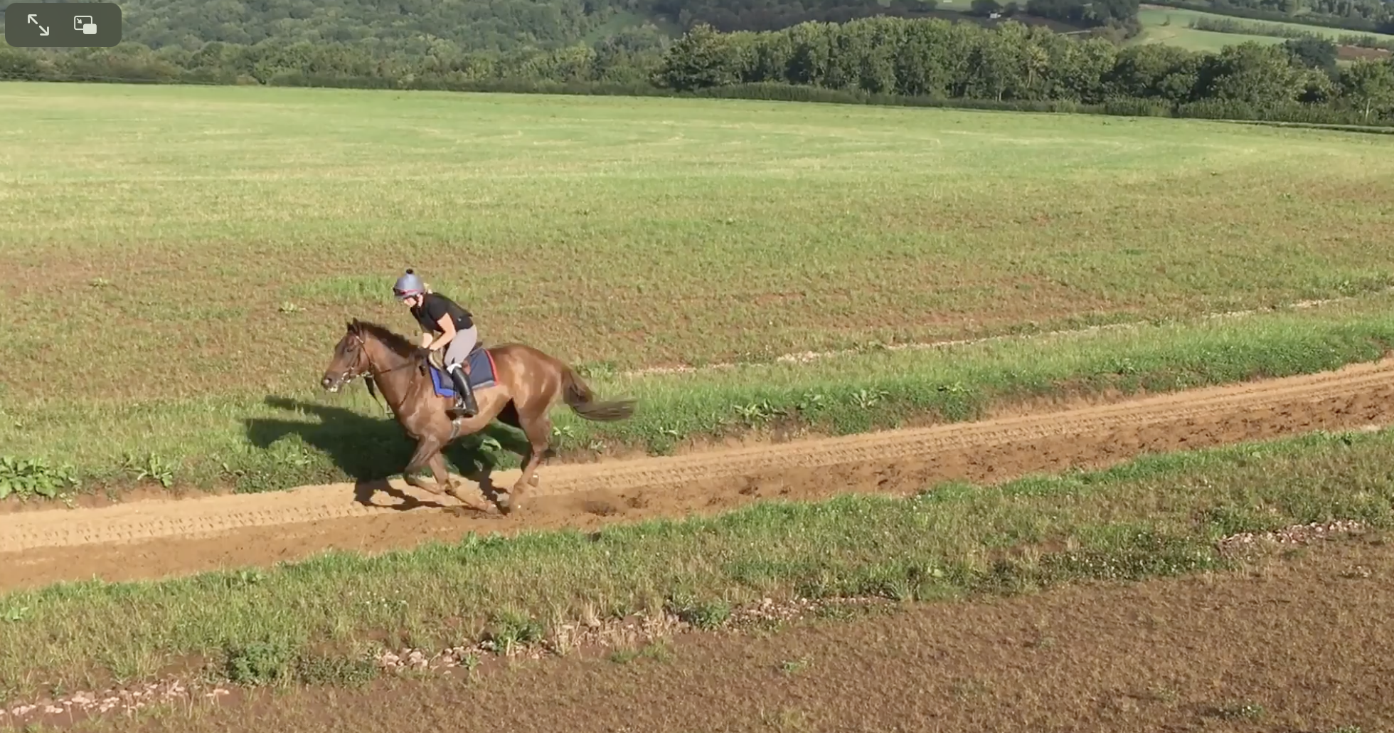 Screenshot 2026-01-30 at 10.40.40.png