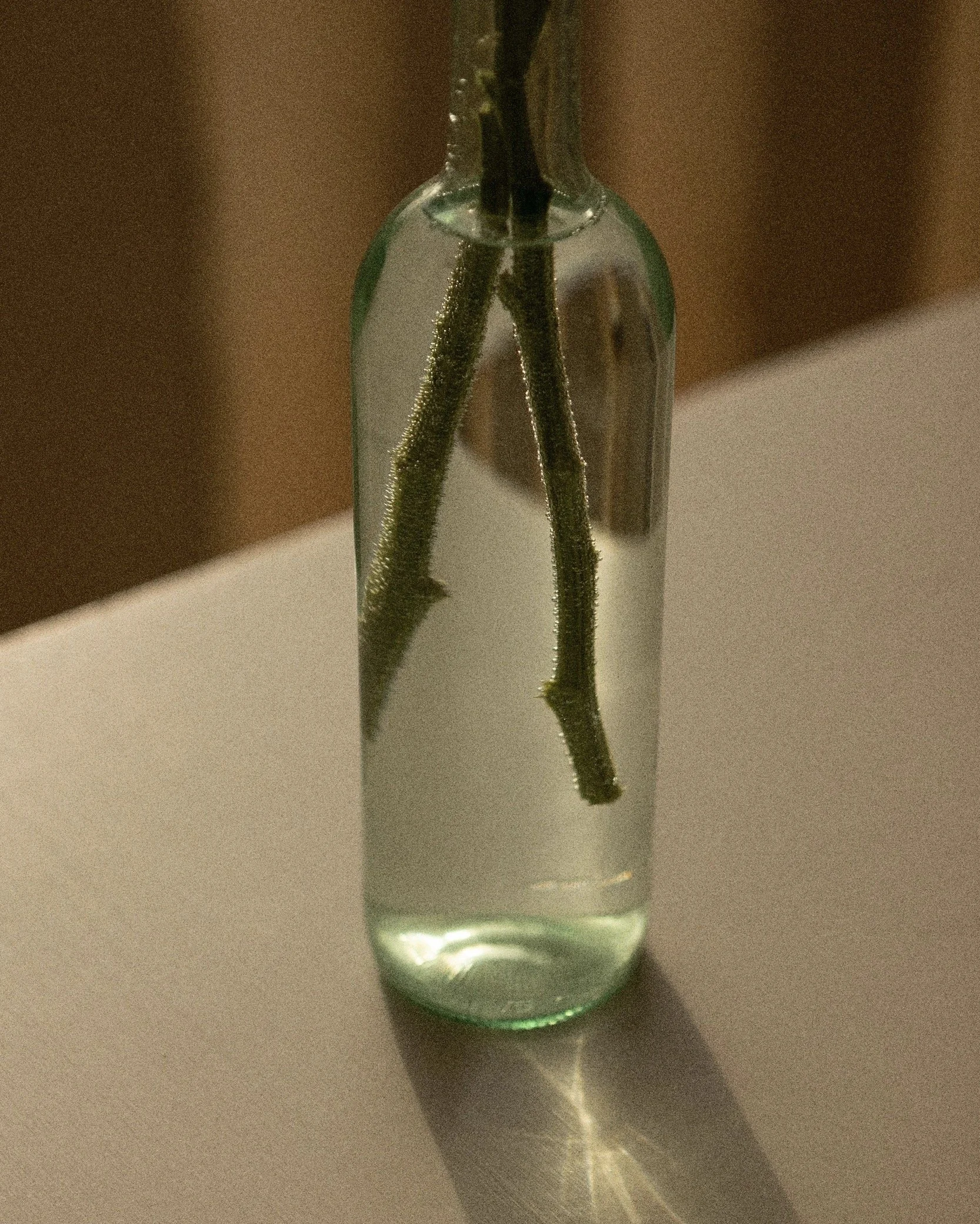 Franz Galo Expo 027.jpg