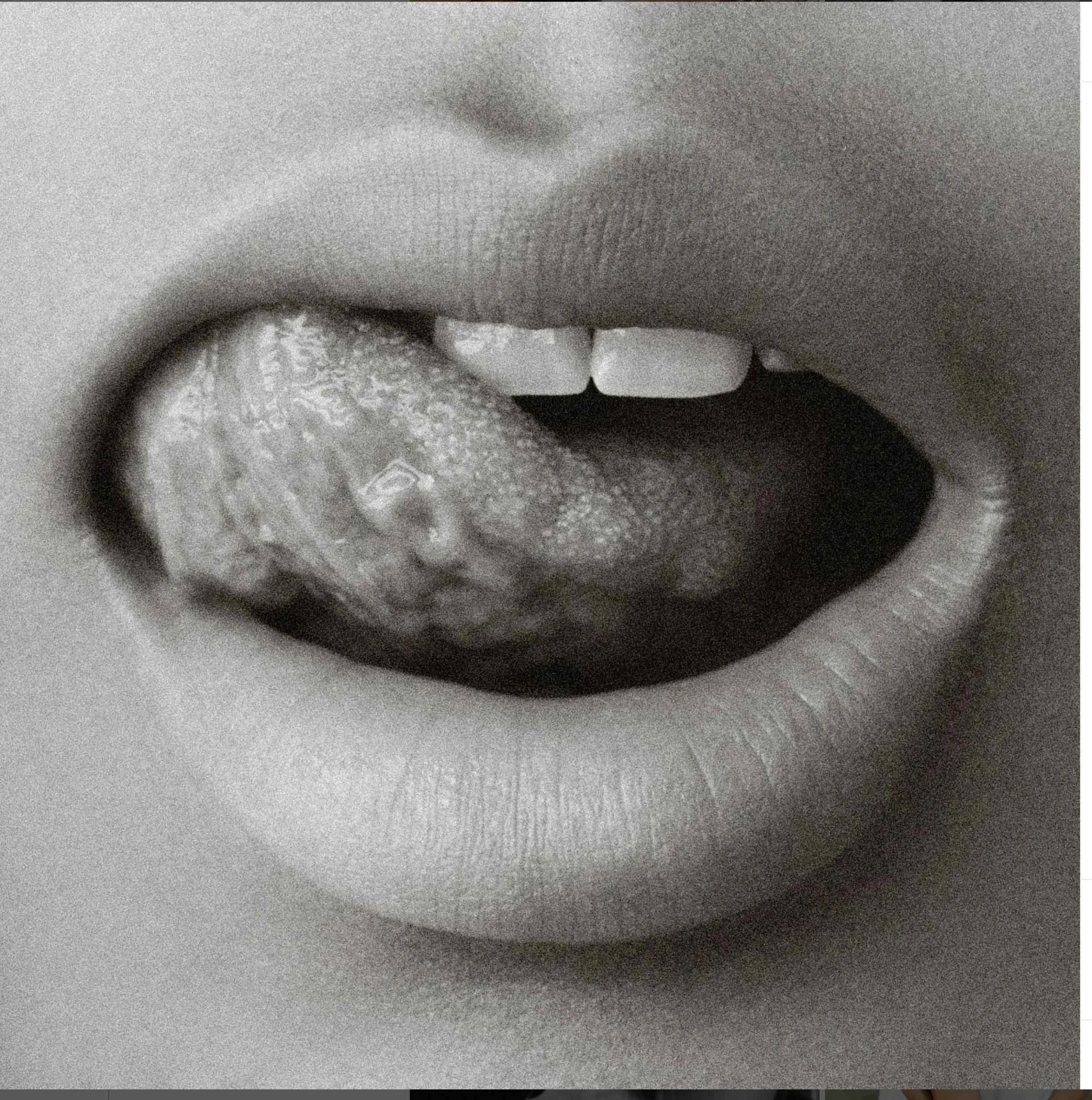 Capture d’écran 2023-12-04 à 15.18.42.jpg