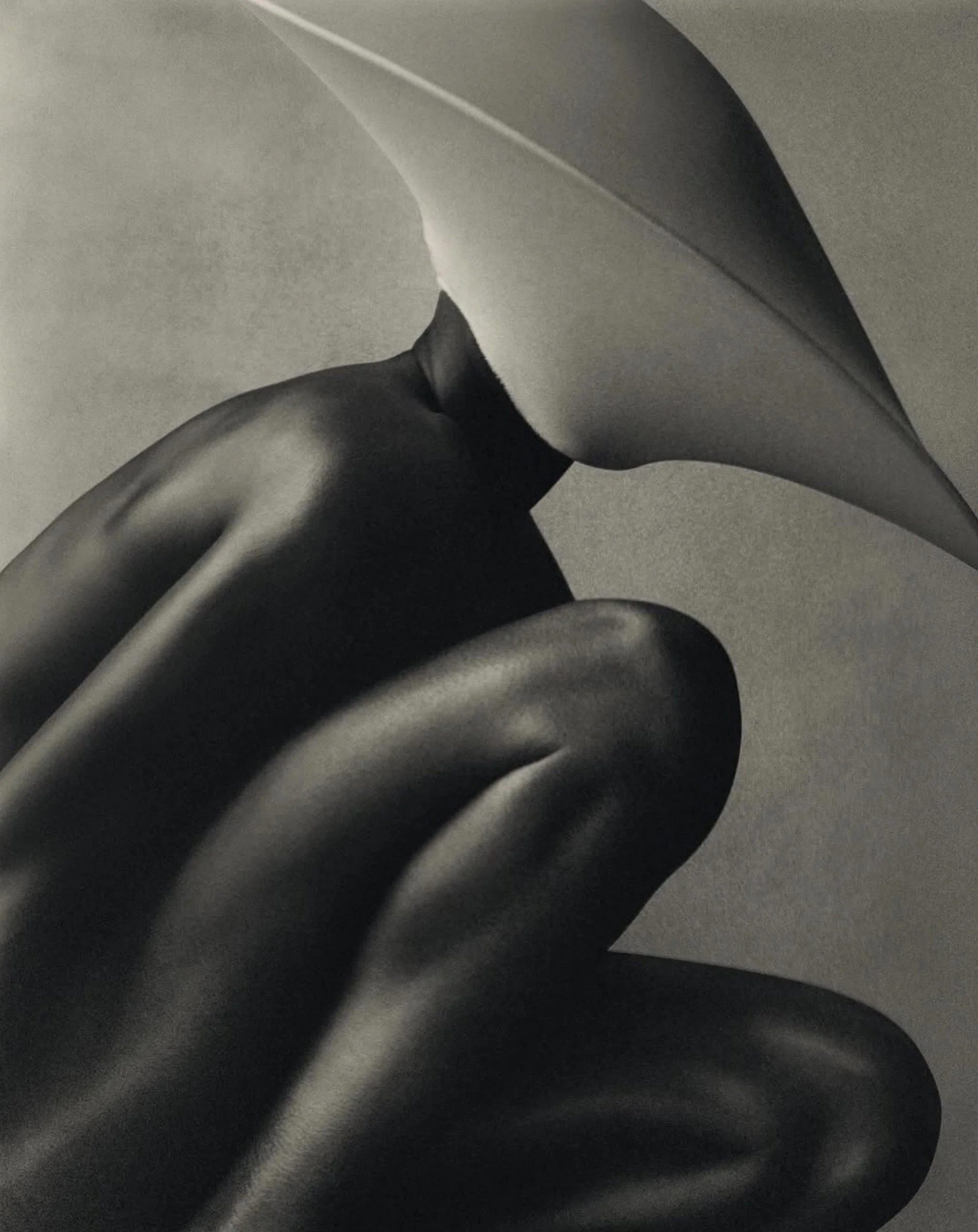 Capture d’écran 2026-02-24 à 10.29.43.jpg