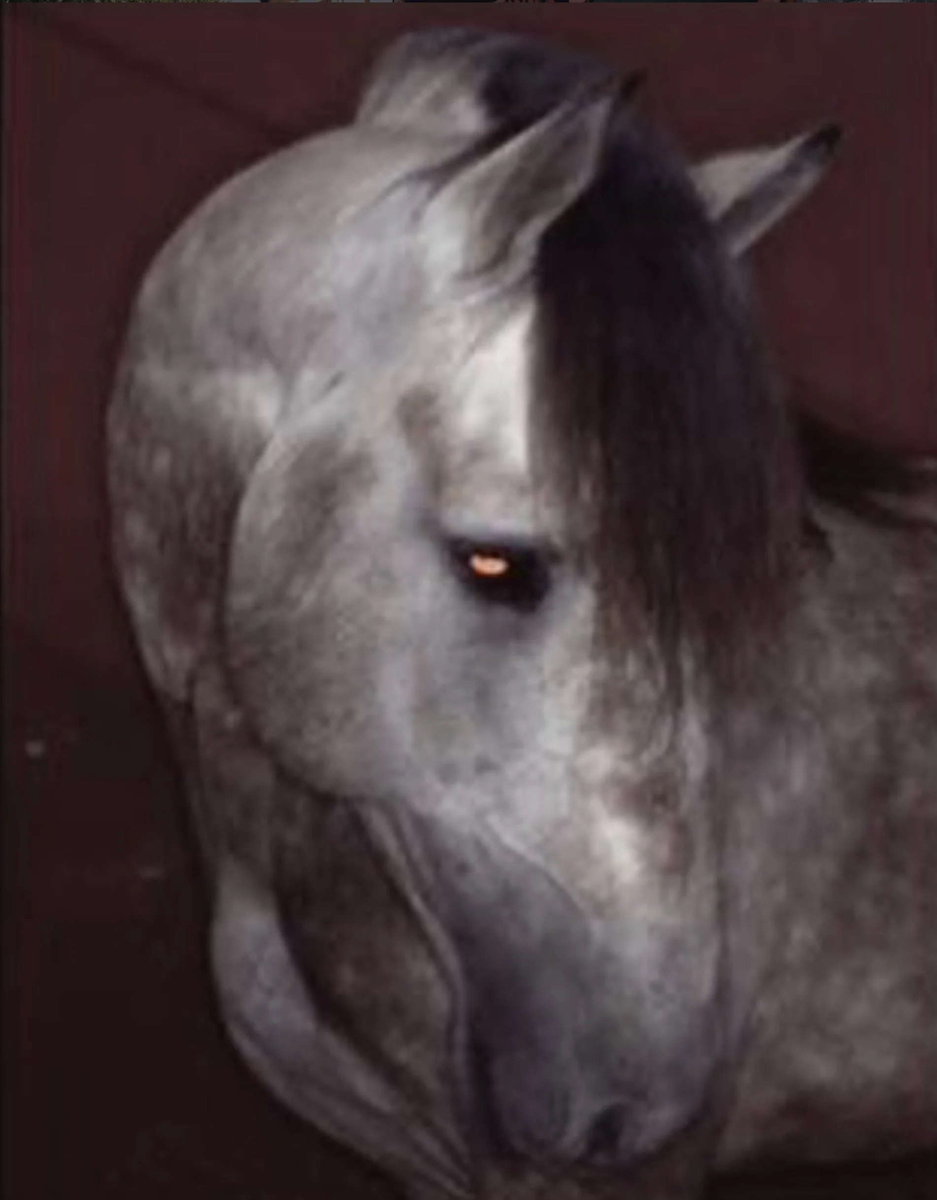 Capture d’écran 2026-03-17 à 20.57.10.jpg