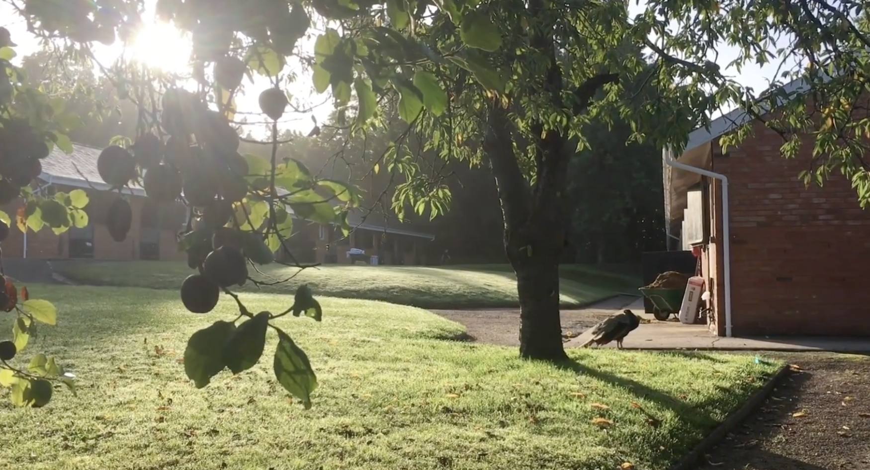 Screenshot 2026-01-30 at 10.40.04.png