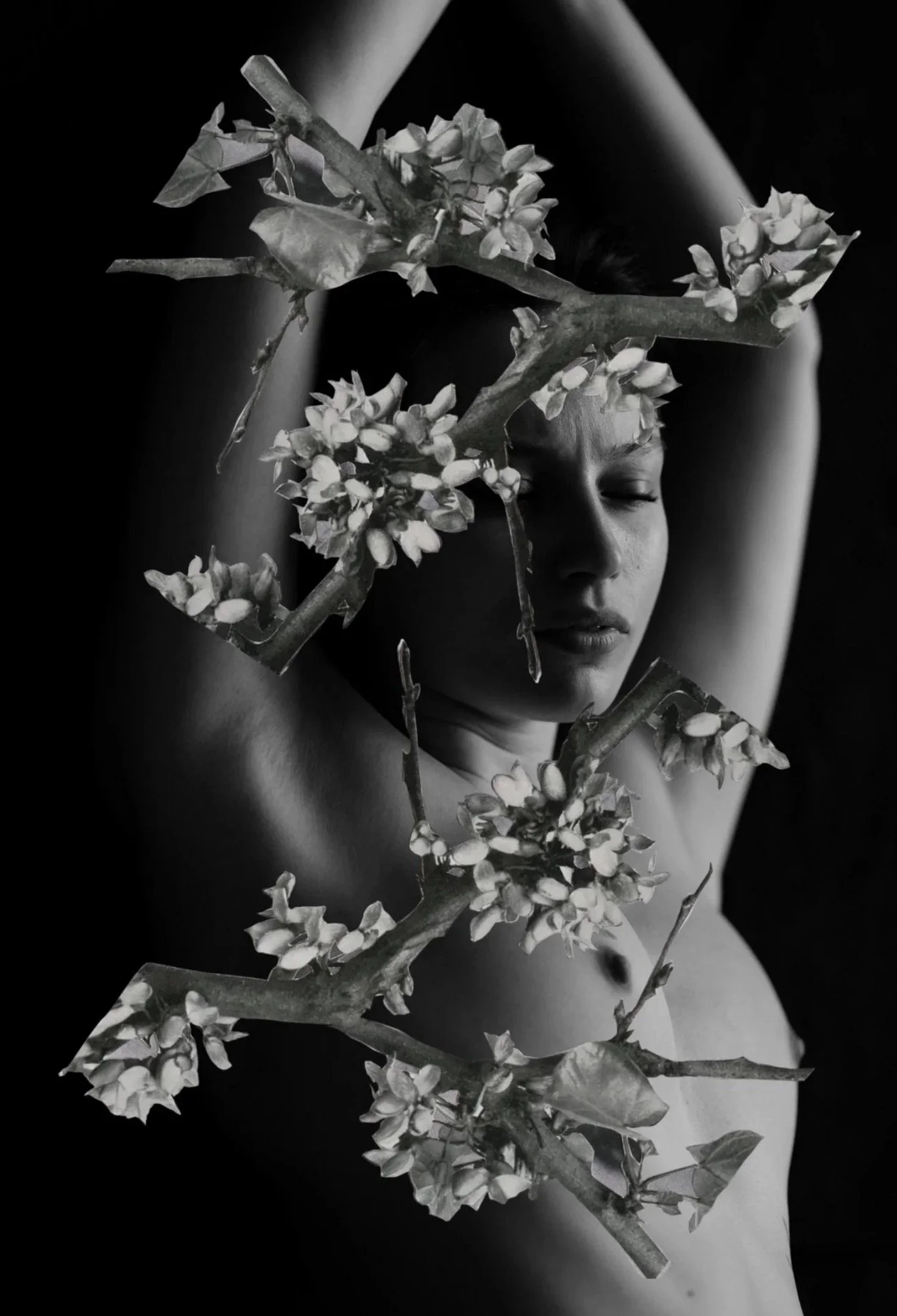 Franz Galo Expo 062.jpg